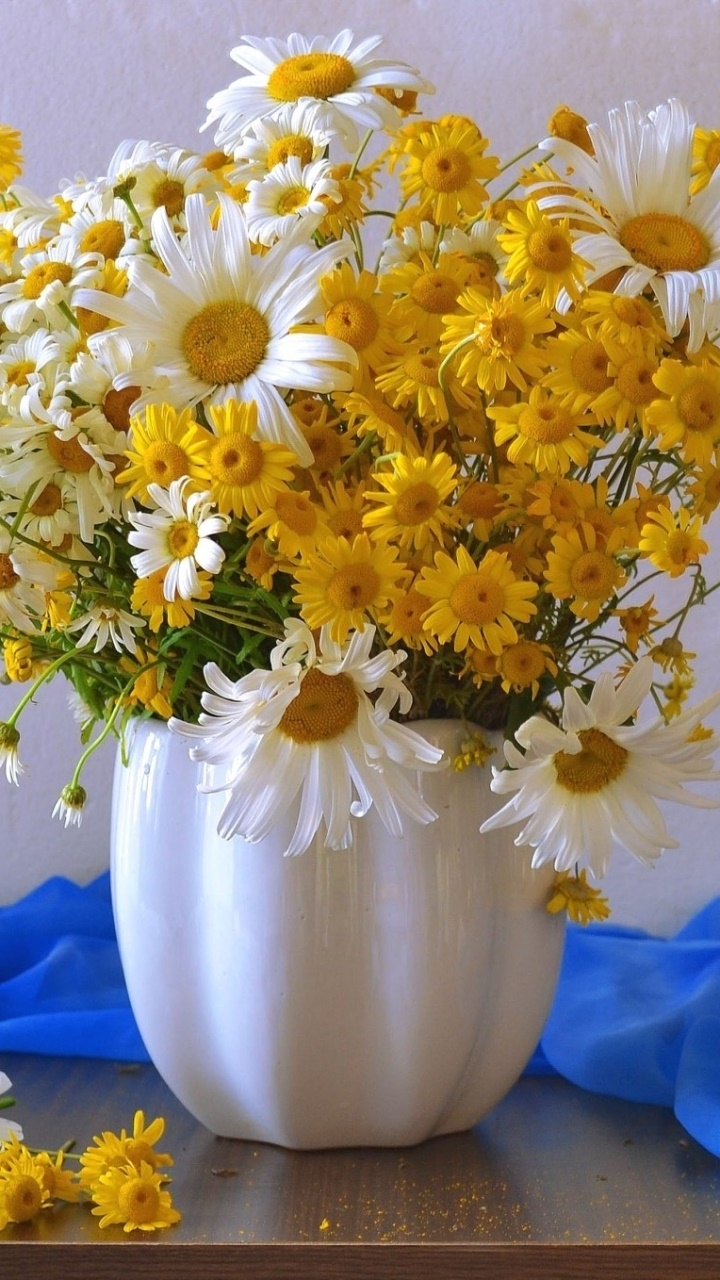 Man Made Flower, Daisy, White Flower, Yellow Flower, Vase, 720x1280, Phone HD Wallpaper