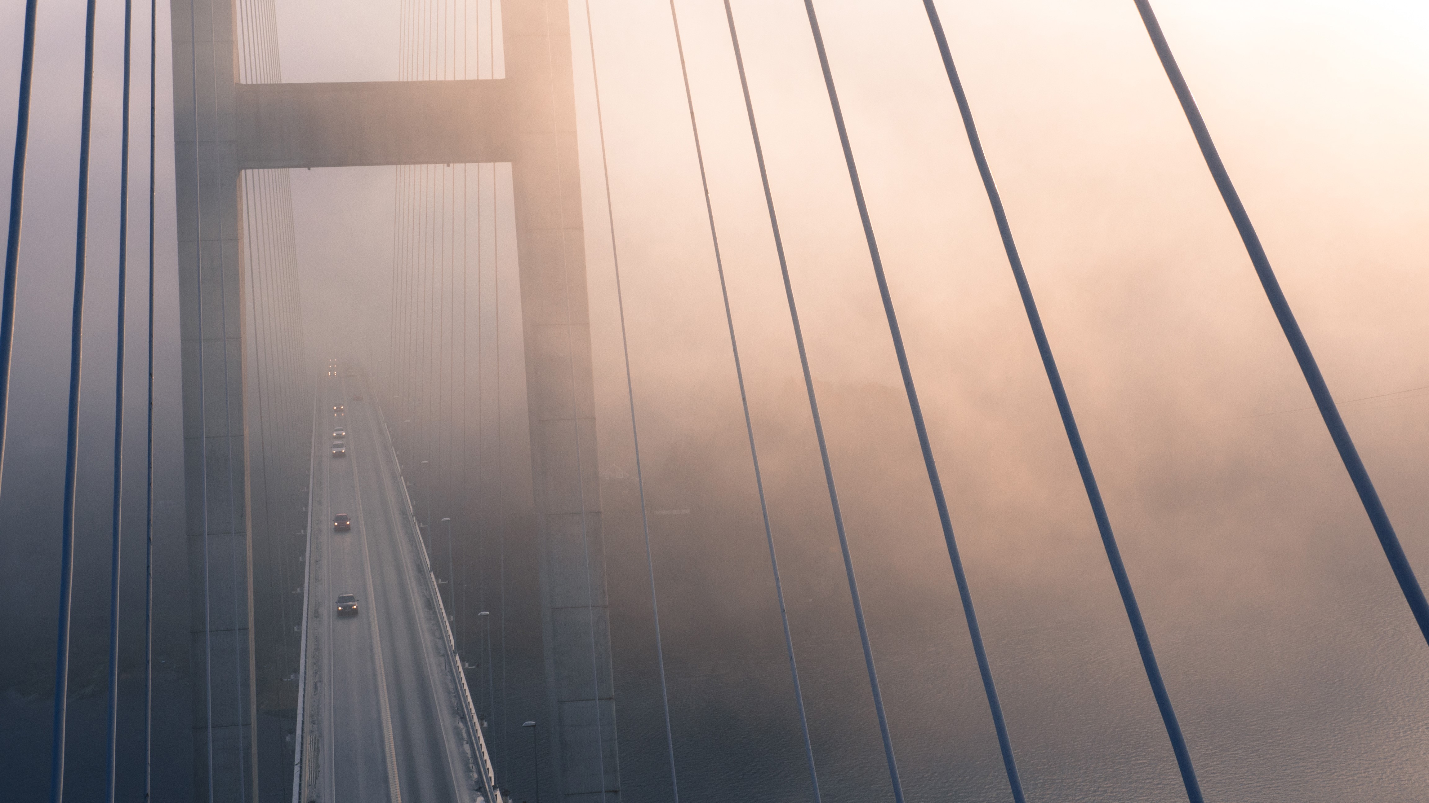 suspension bridge, bridge, nature, hd, evening, fog, 4k, HD Wallpaper