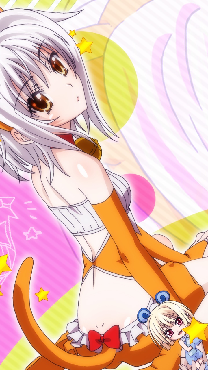 Anime High School DxD, 720x1280, Phone HD Wallpaper