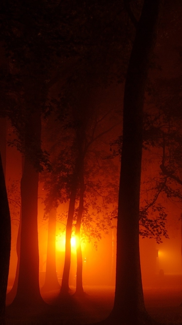 Photography Light, 720x1280, Phone HD Wallpaper