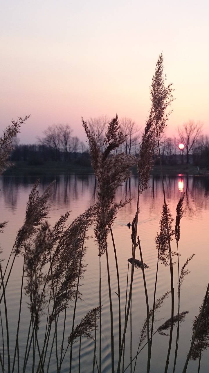 Earth Sunset, Lake, 720x1280, Phone HD Wallpaper