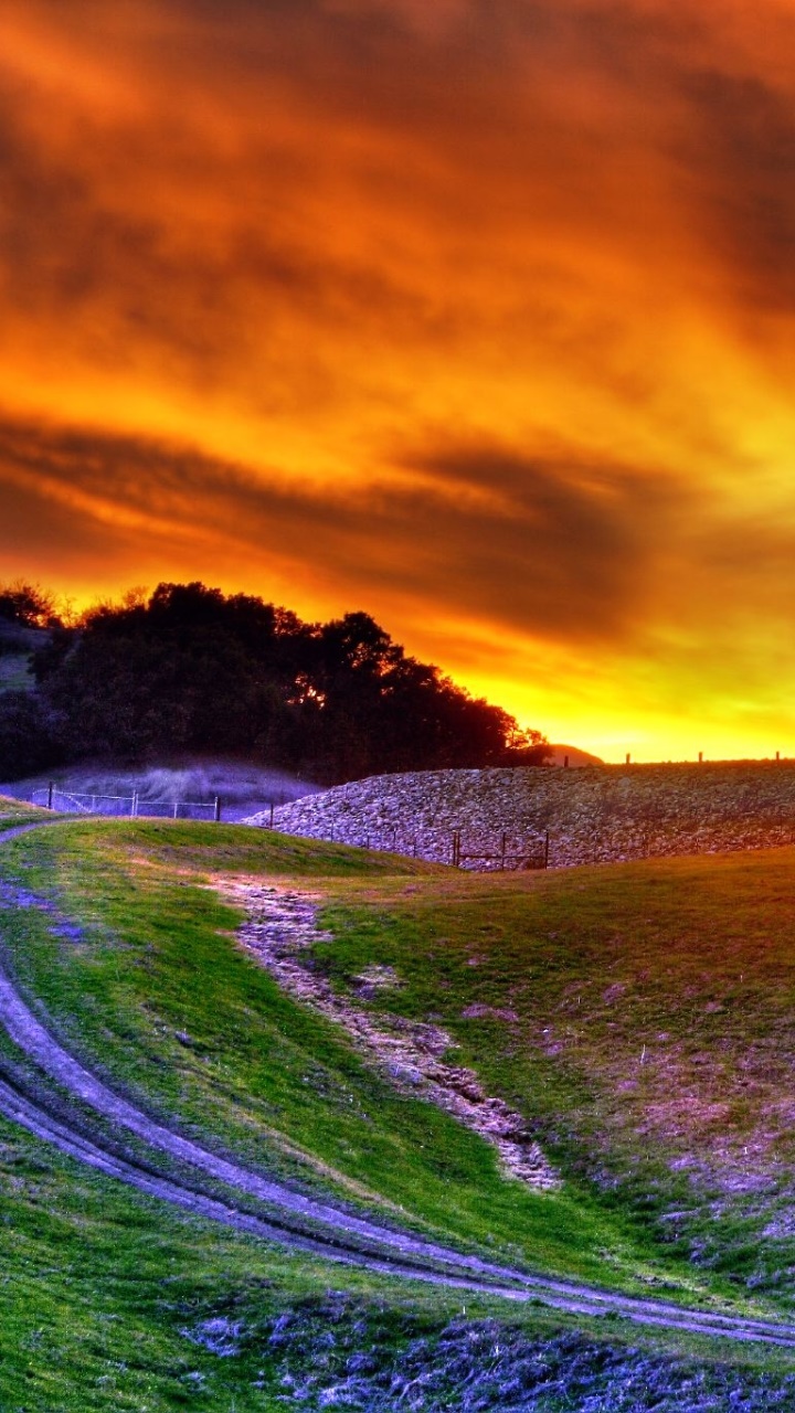 Earth Sunset, Landscape, Field, 720x1280, Phone HD Wallpaper