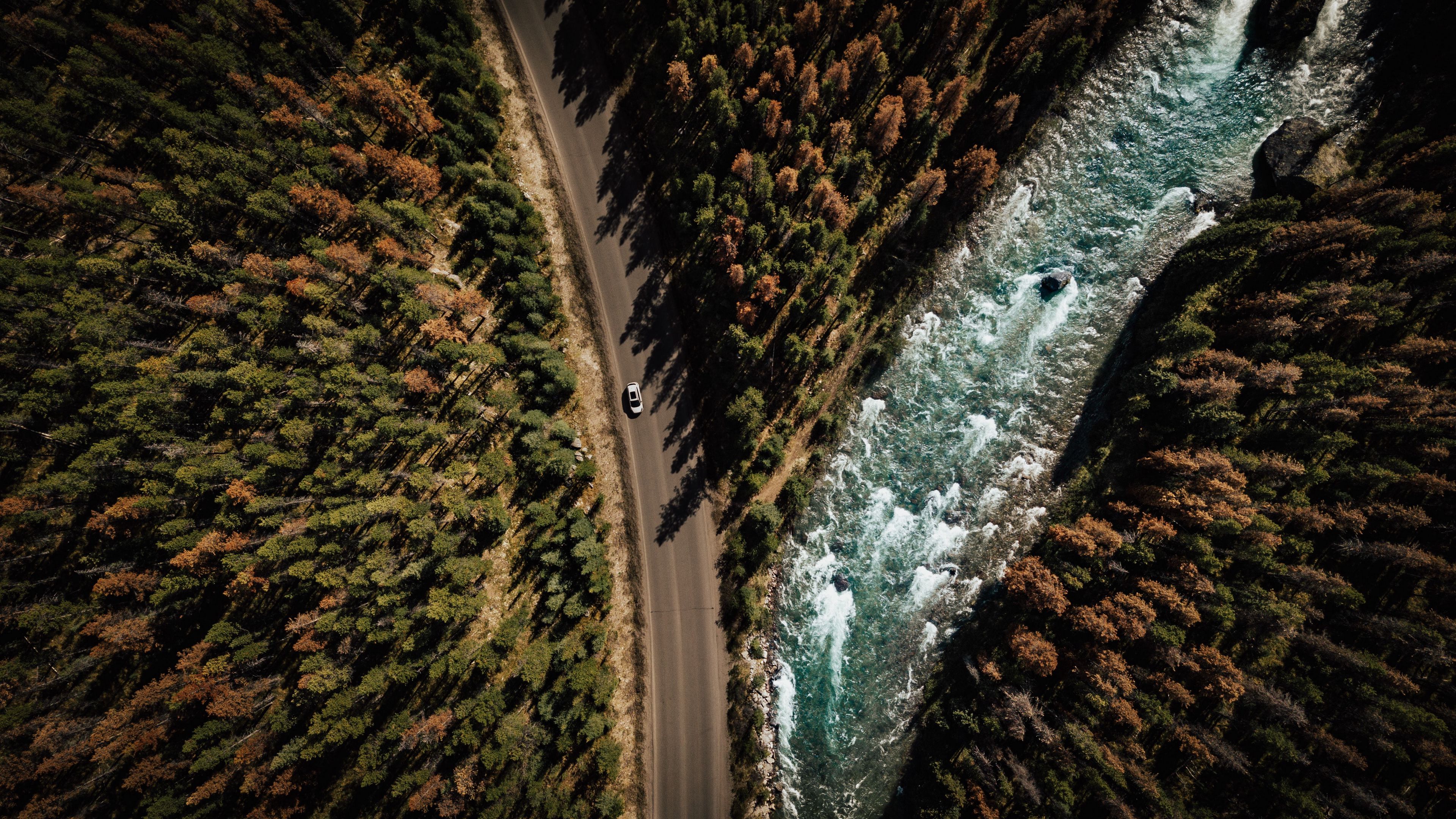 road, аerial view, distance, trees, forest, travel, 4k, HD Wallpaper