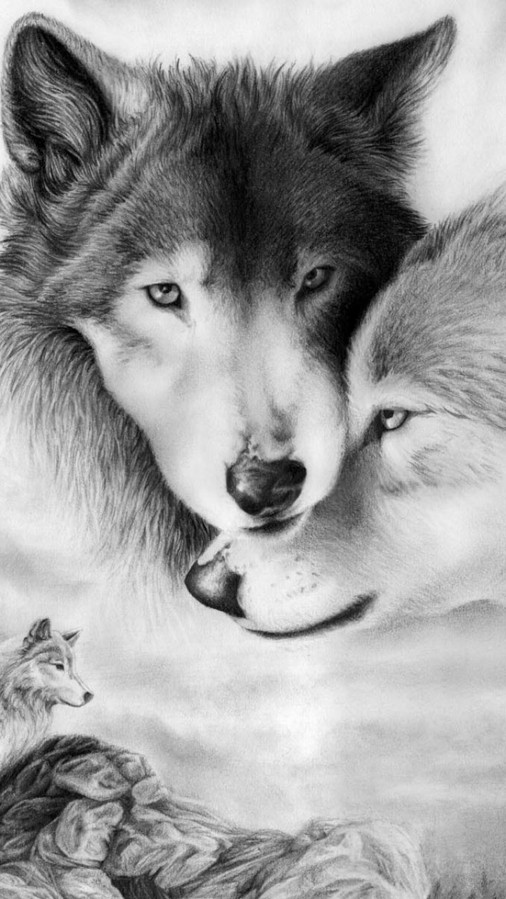 Animal Wolf, 720x1280, Phone HD Wallpaper