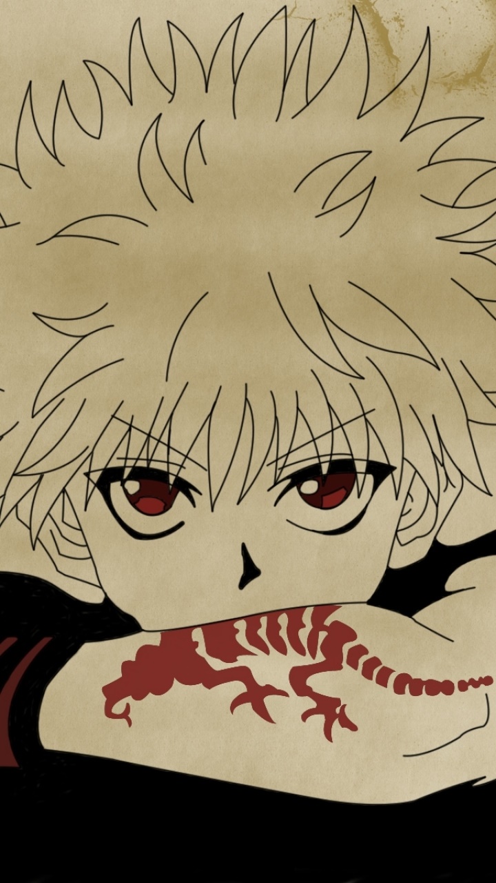 Anime Hunter x Hunter, Killua Zoldyck, 720x1280, Phone HD Wallpaper