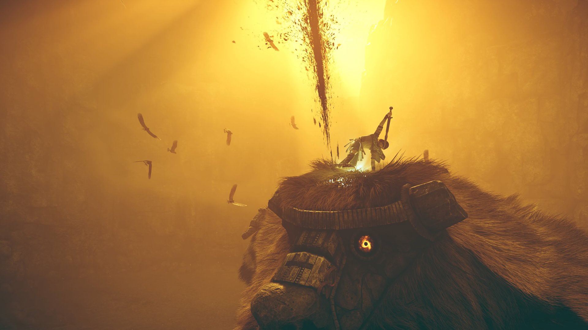 shadow of the colossus, games, 2018 games, hd, HD Wallpaper