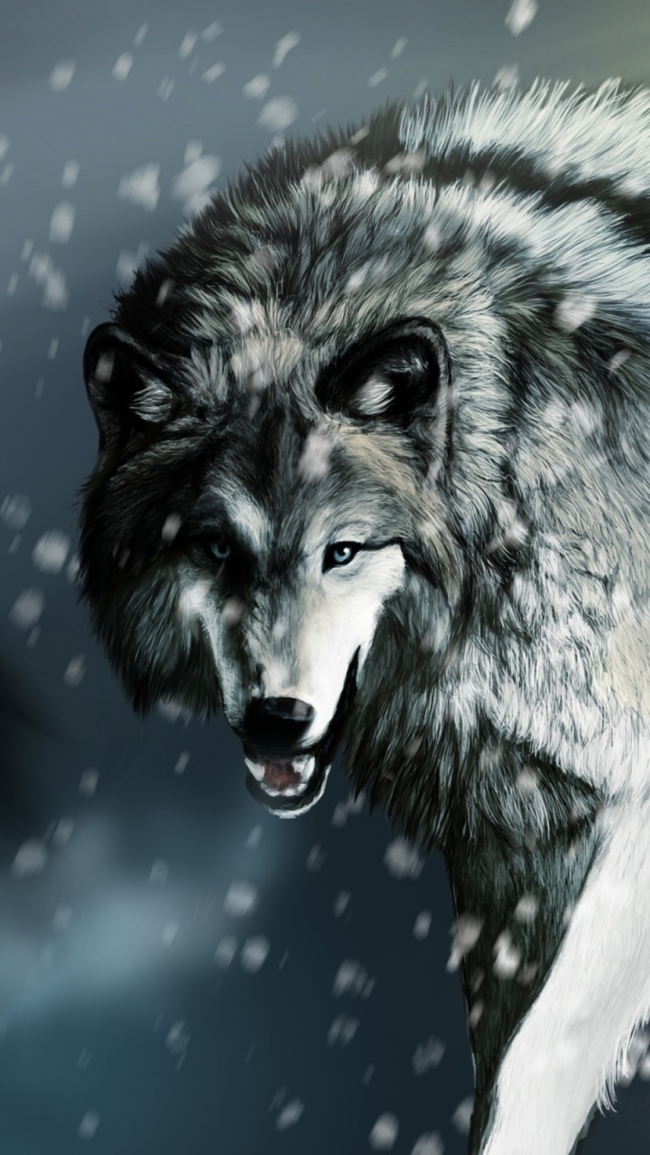 Animal Wolf, 720x1280, Phone HD Wallpaper