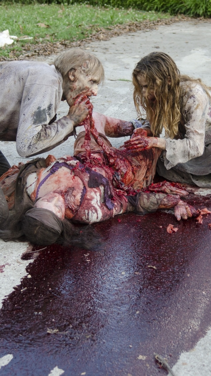 TV Show The Walking Dead, 720x1280, Phone HD Wallpaper