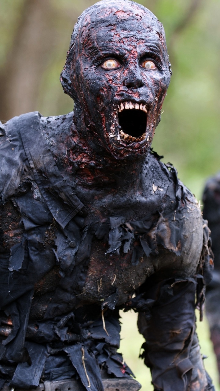 TV Show The Walking Dead, 720x1280, Phone HD Wallpaper