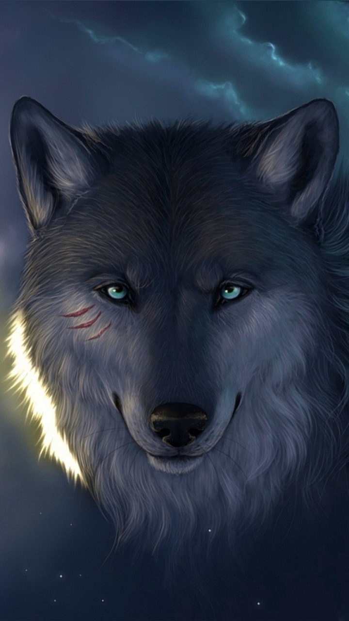 Animal Wolf, 720x1280, Phone HD Wallpaper