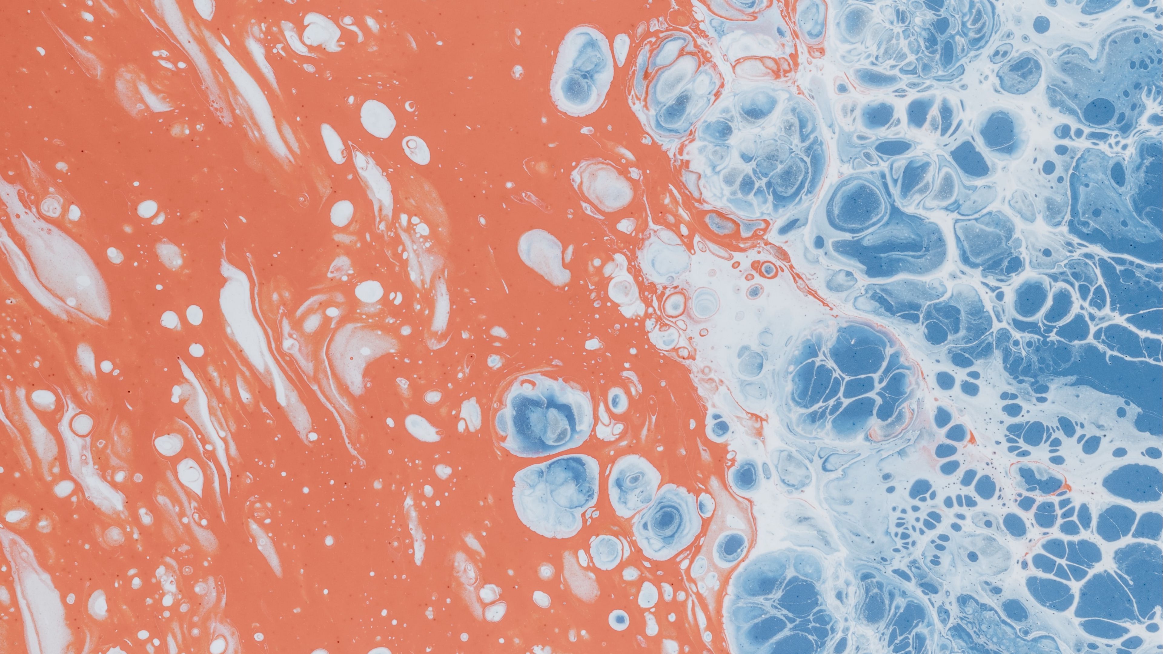 spots, stains, abstraction, multi-colored, 4k, HD Wallpaper