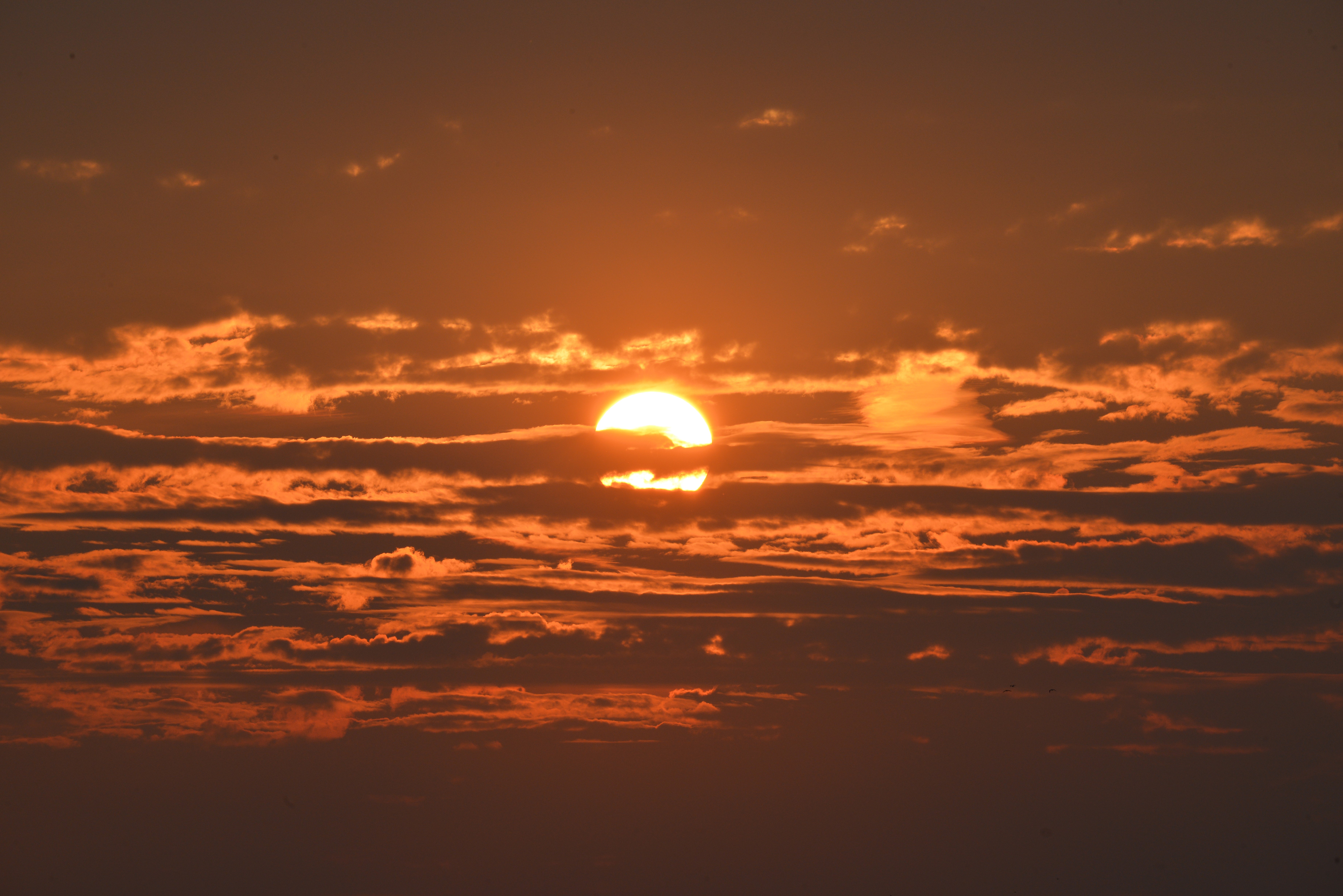 sunset, clouds, nature, hd, 4k, 5k, 8k, HD Wallpaper