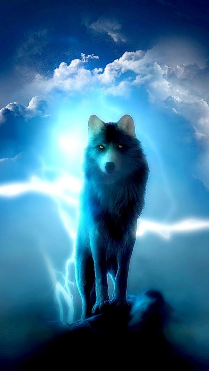 Animal Wolf, 720x1280, Phone HD Wallpaper