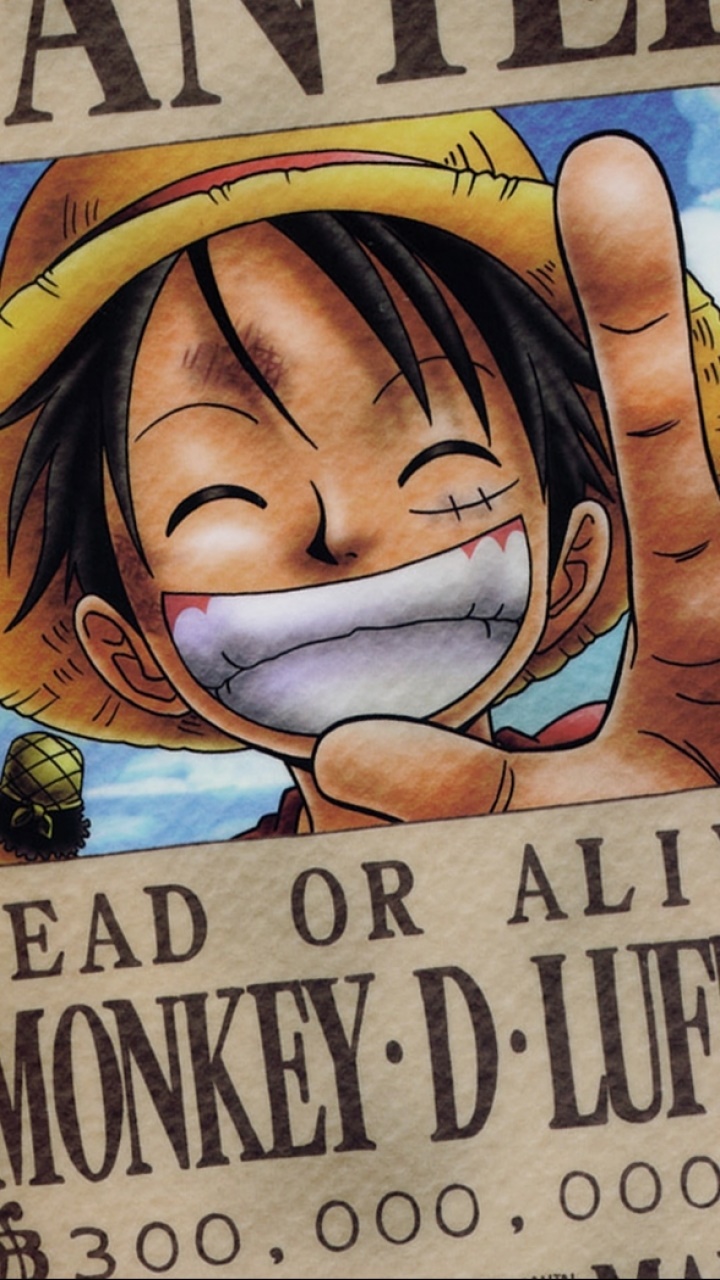 Anime One Piece, 720x1280, Phone HD Wallpaper