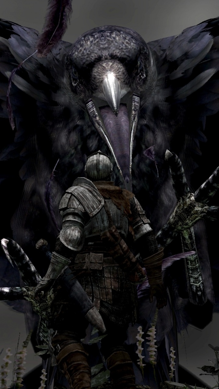 Video Game Dark Souls, 720x1280, Phone HD Wallpaper