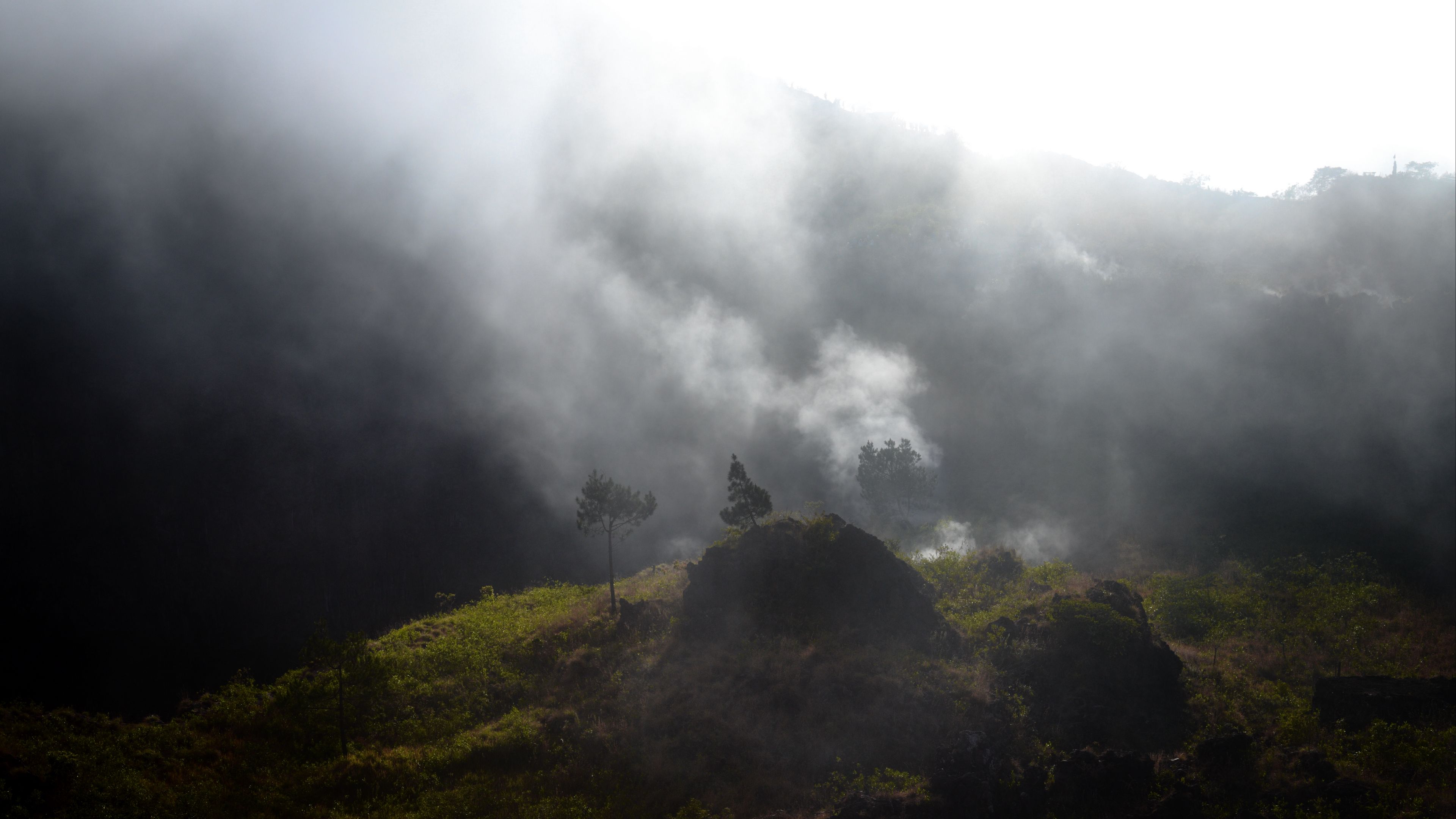 mountains, hills, fog, trees, nature, 4k, HD Wallpaper
