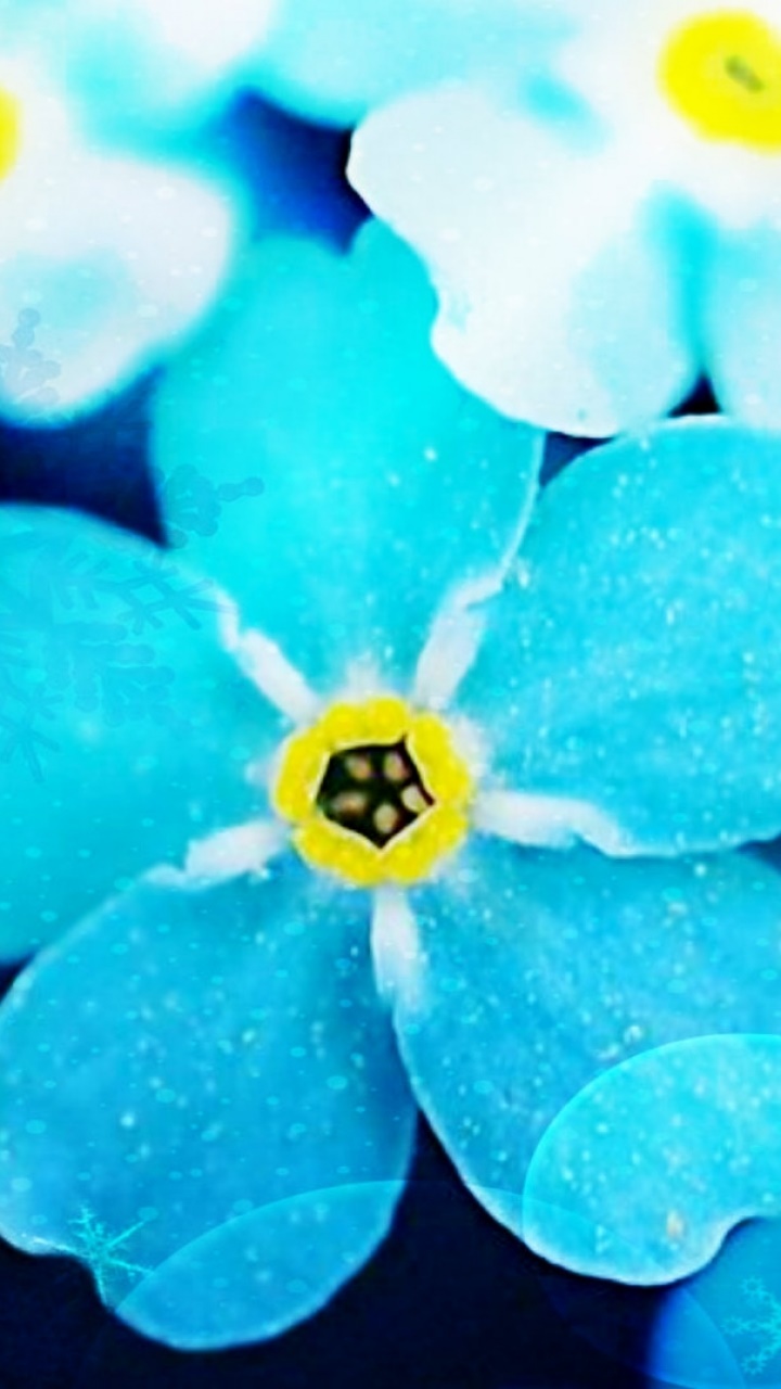 Earth Flower, Blue, 720x1280, Phone HD Wallpaper