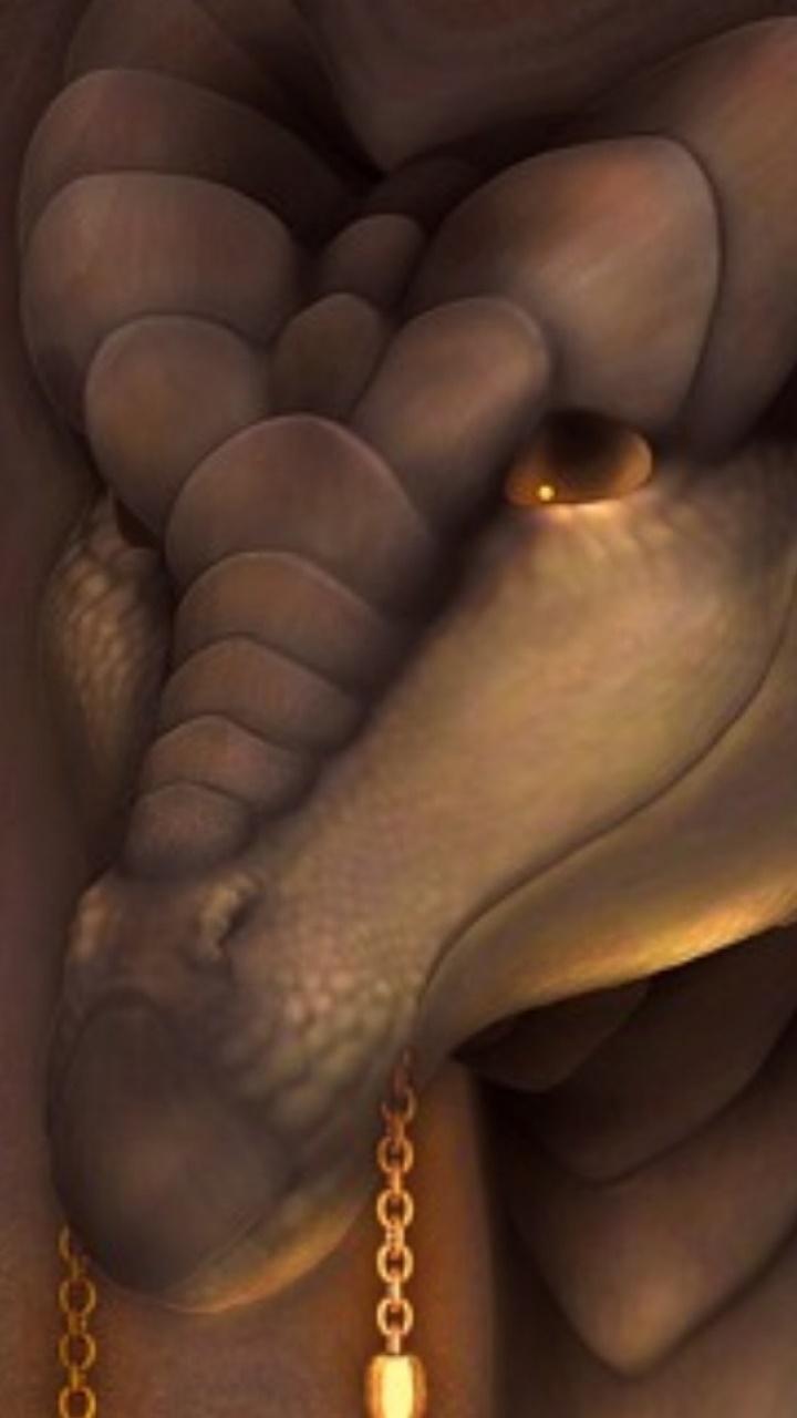 Fantasy Dragon, 720x1280, Phone HD Wallpaper