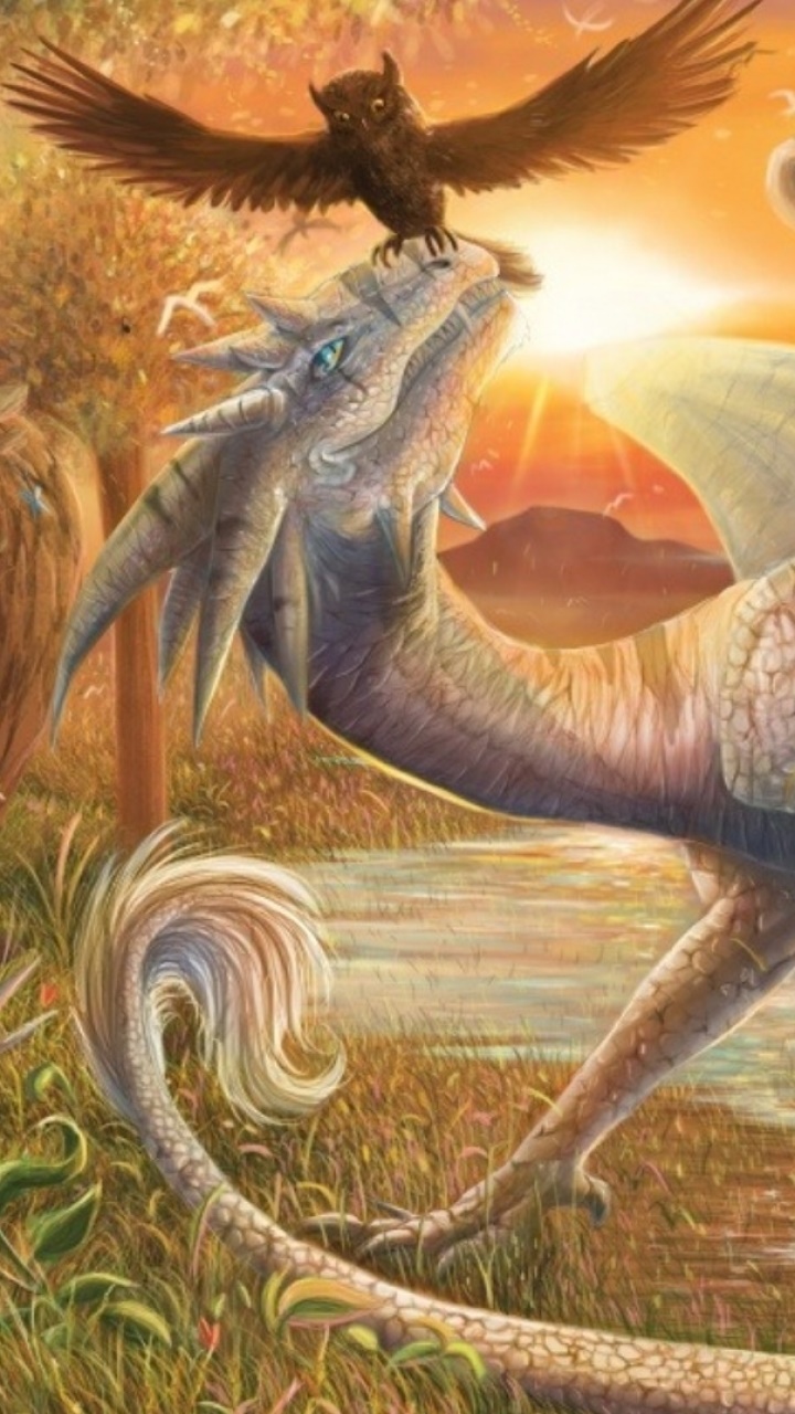 Fantasy Dragon, 720x1280, Phone HD Wallpaper