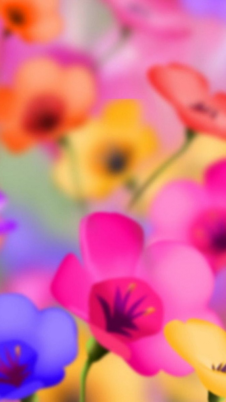 Earth Flower, 720x1280, Phone HD Wallpaper