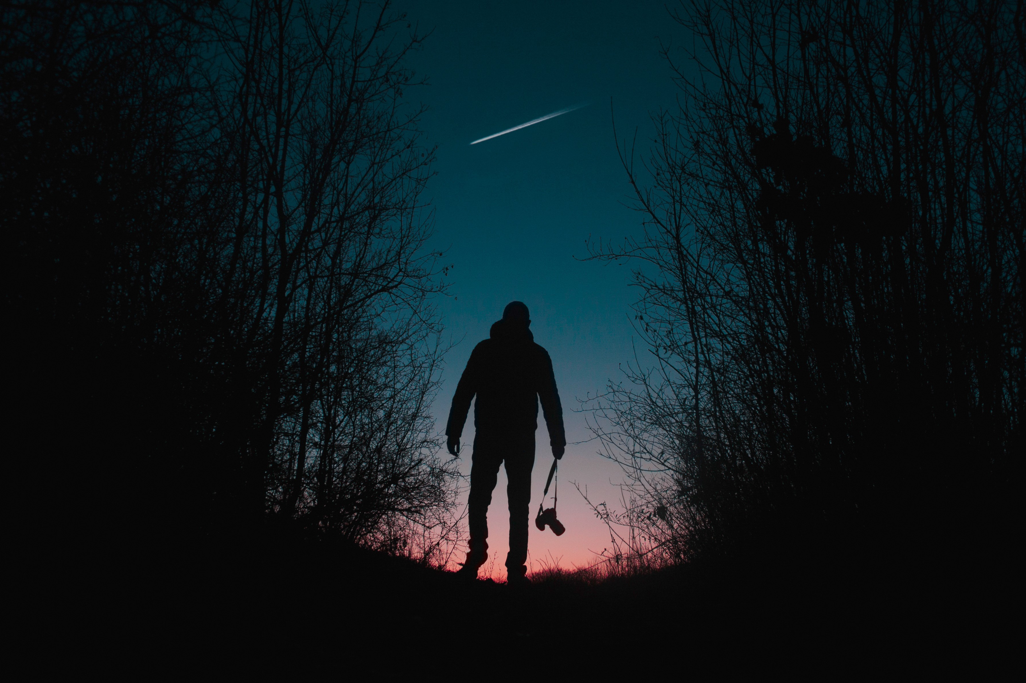 photographer, silhouette, shooting star, hd, 4k, camera, photography, stars, trees, dark, HD Wallpaper