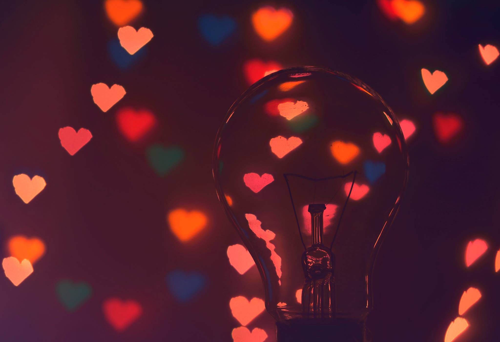 bulb, heart, photography, hd, HD Wallpaper