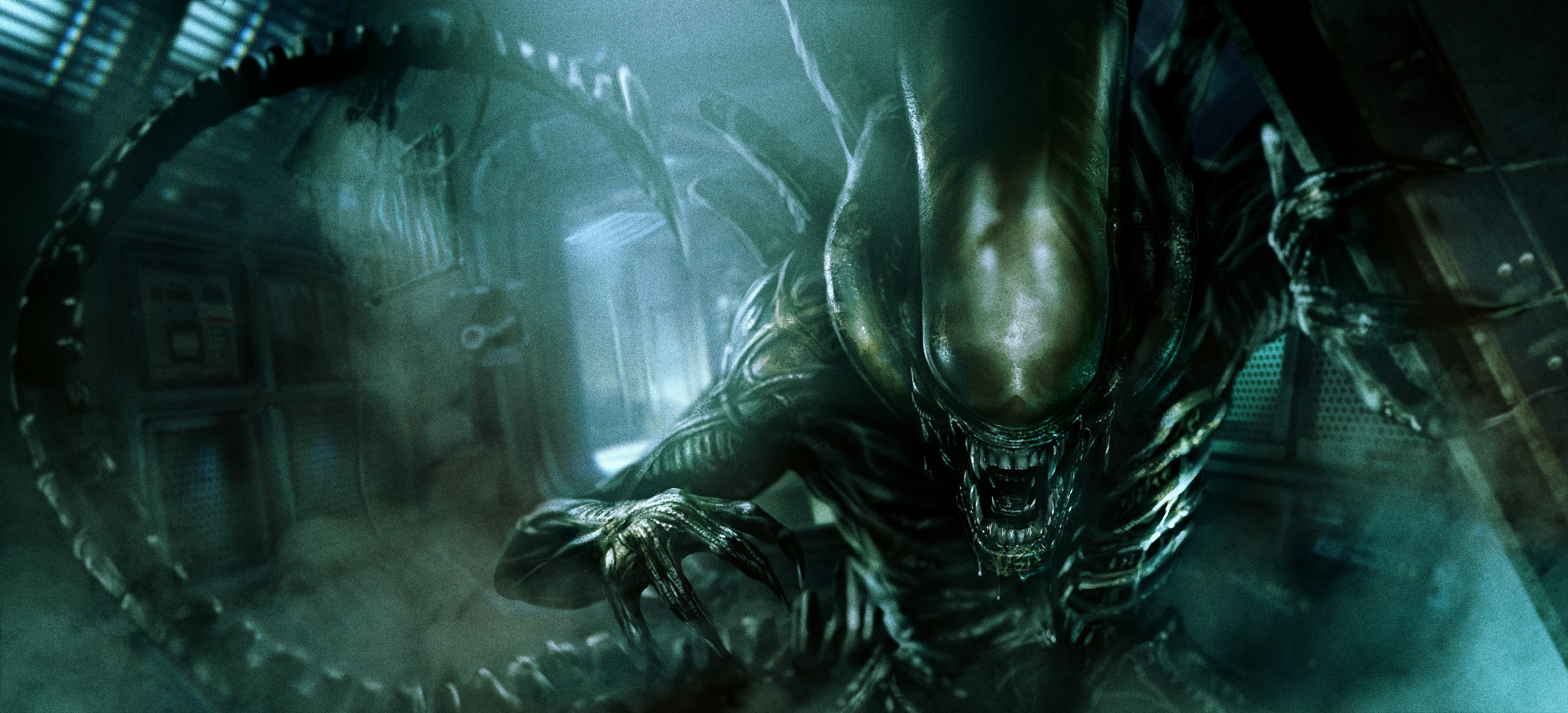 alien, hd, 4k, HD Wallpaper