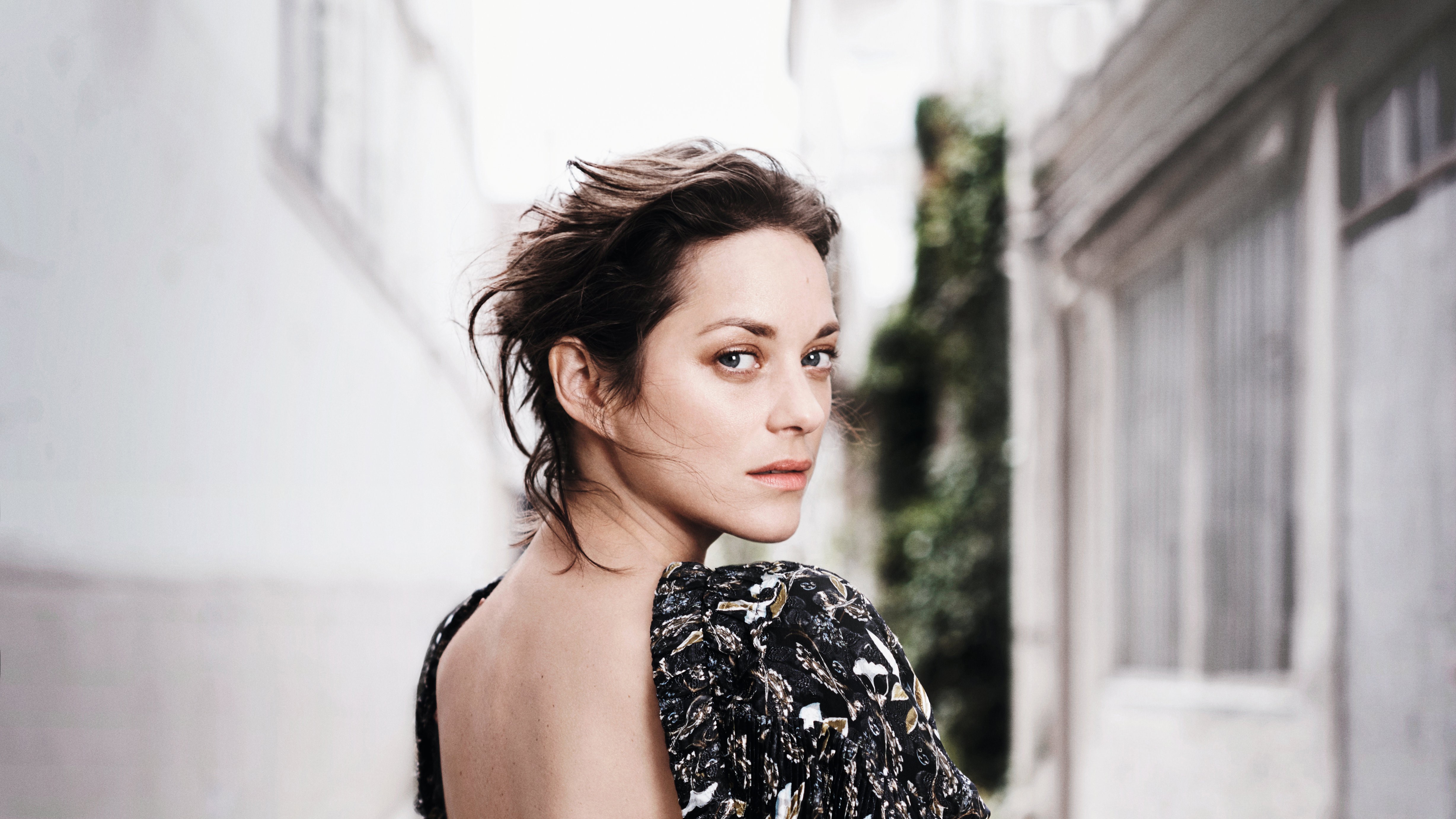 marion cotillard, celebrities, girls, 4k, hd, actress, 5k, HD Wallpaper