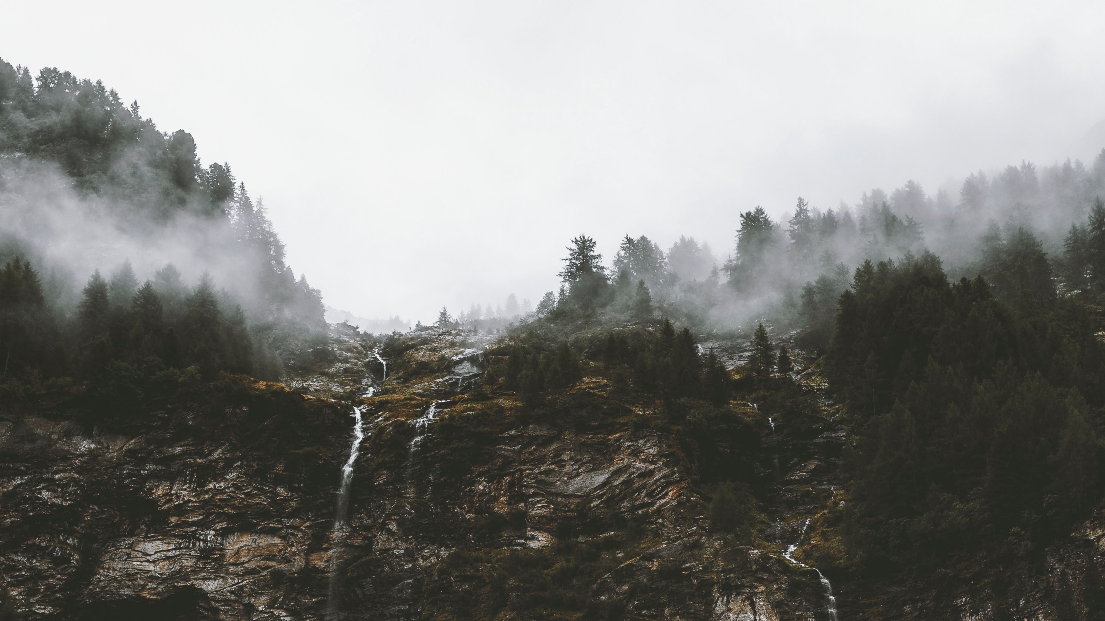 cliff, trees, fog, streams, nature, 4k, HD Wallpaper