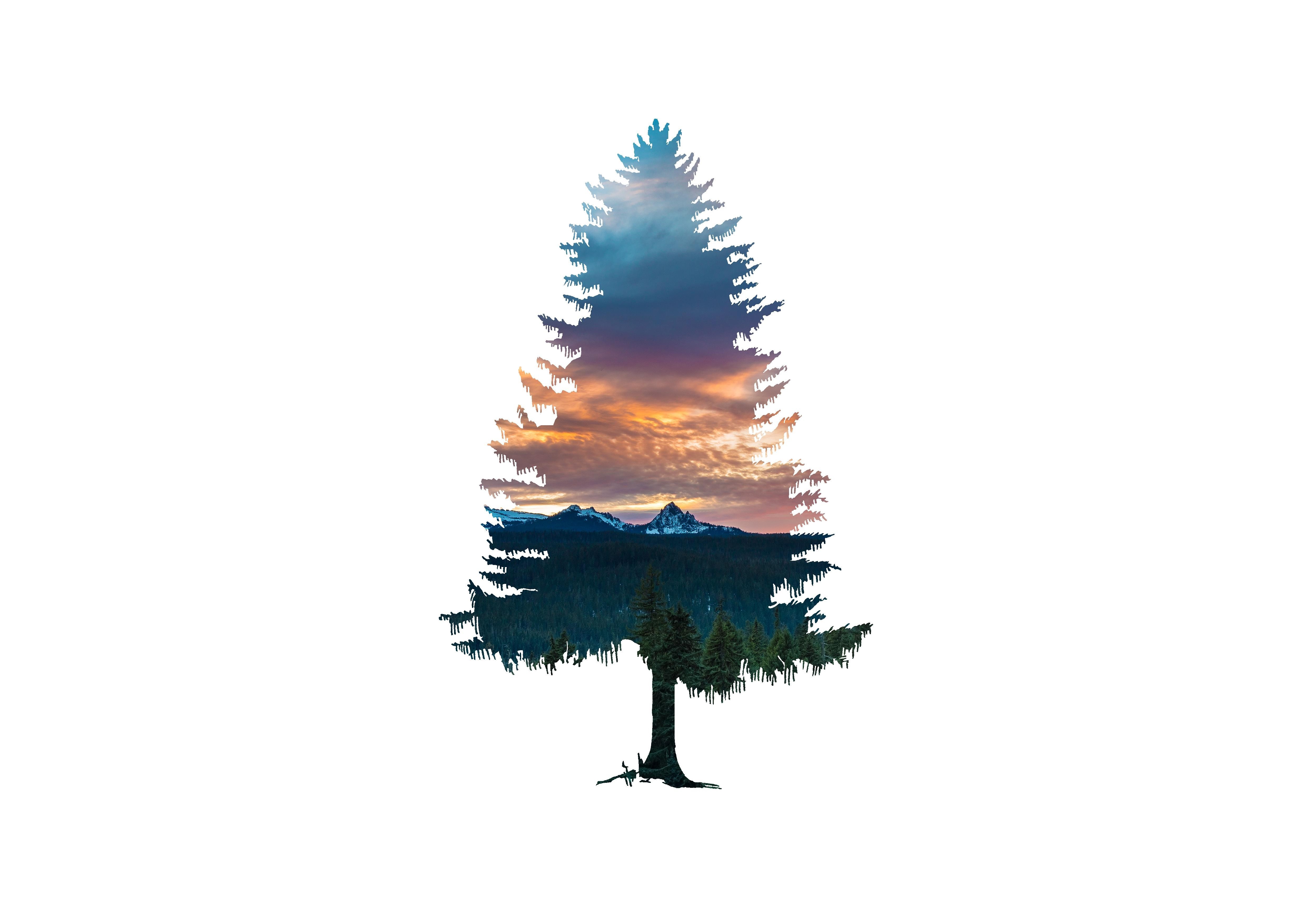 trees, abstract, hd, nature, 4k, 5k, HD Wallpaper