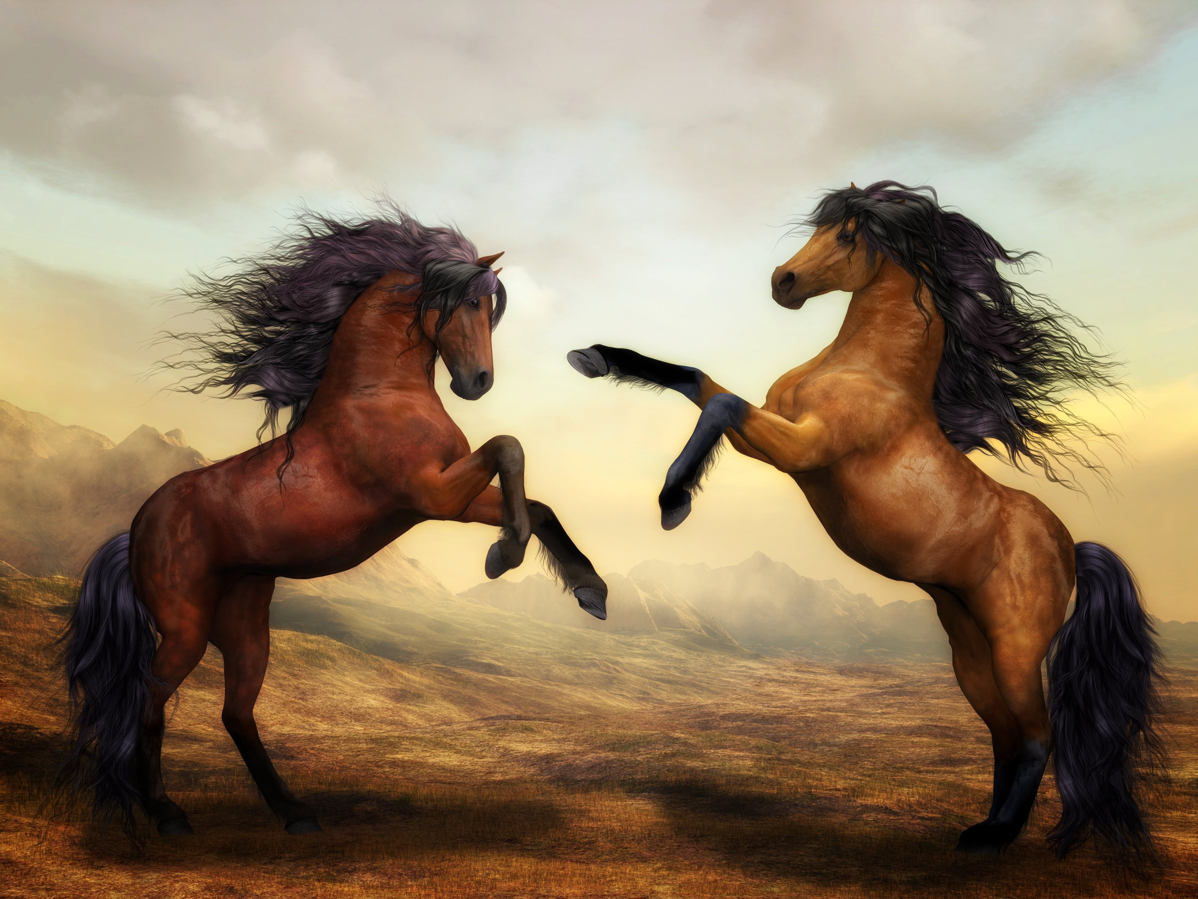 horse, artwork, hd, 4k, digital art, HD Wallpaper