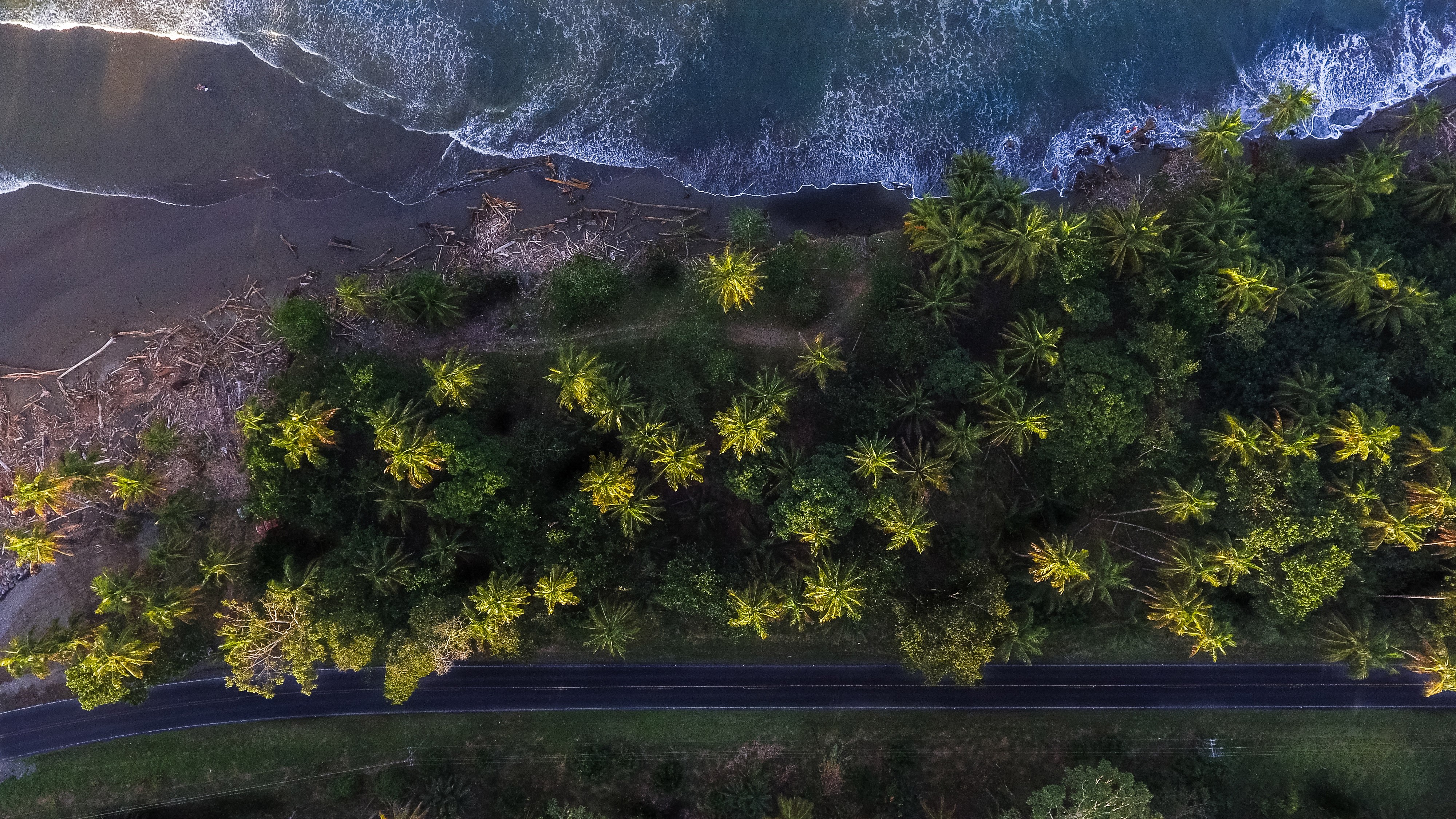 nature, trees, hd, 4k, beach, sea, water, waves, HD Wallpaper