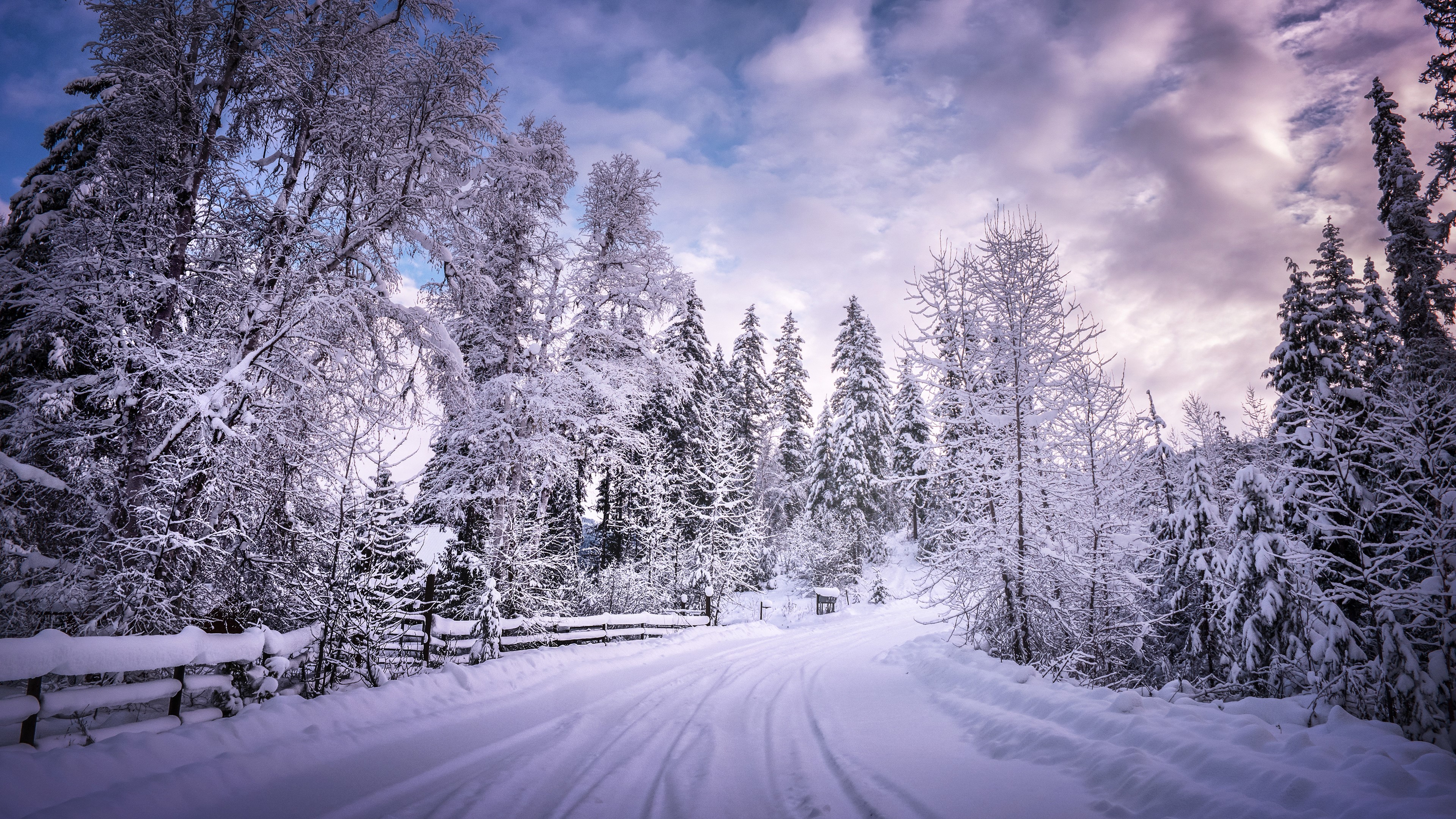 winter, road, snow, trees, white, hd, 4k, HD Wallpaper