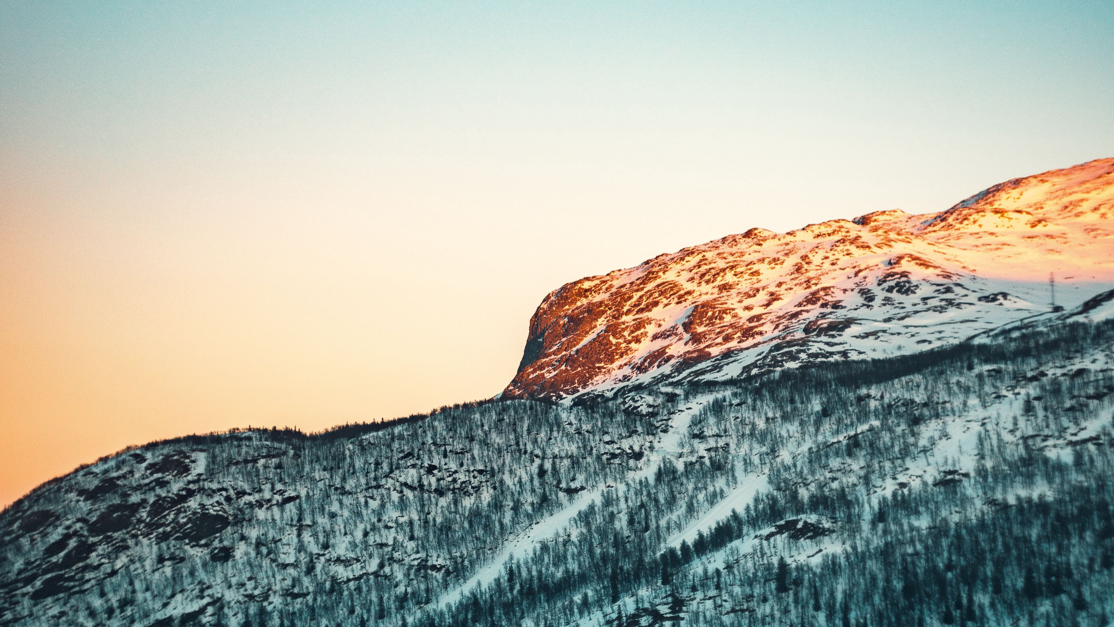 mountain, snow, slope, trees, nature, 4k, HD Wallpaper