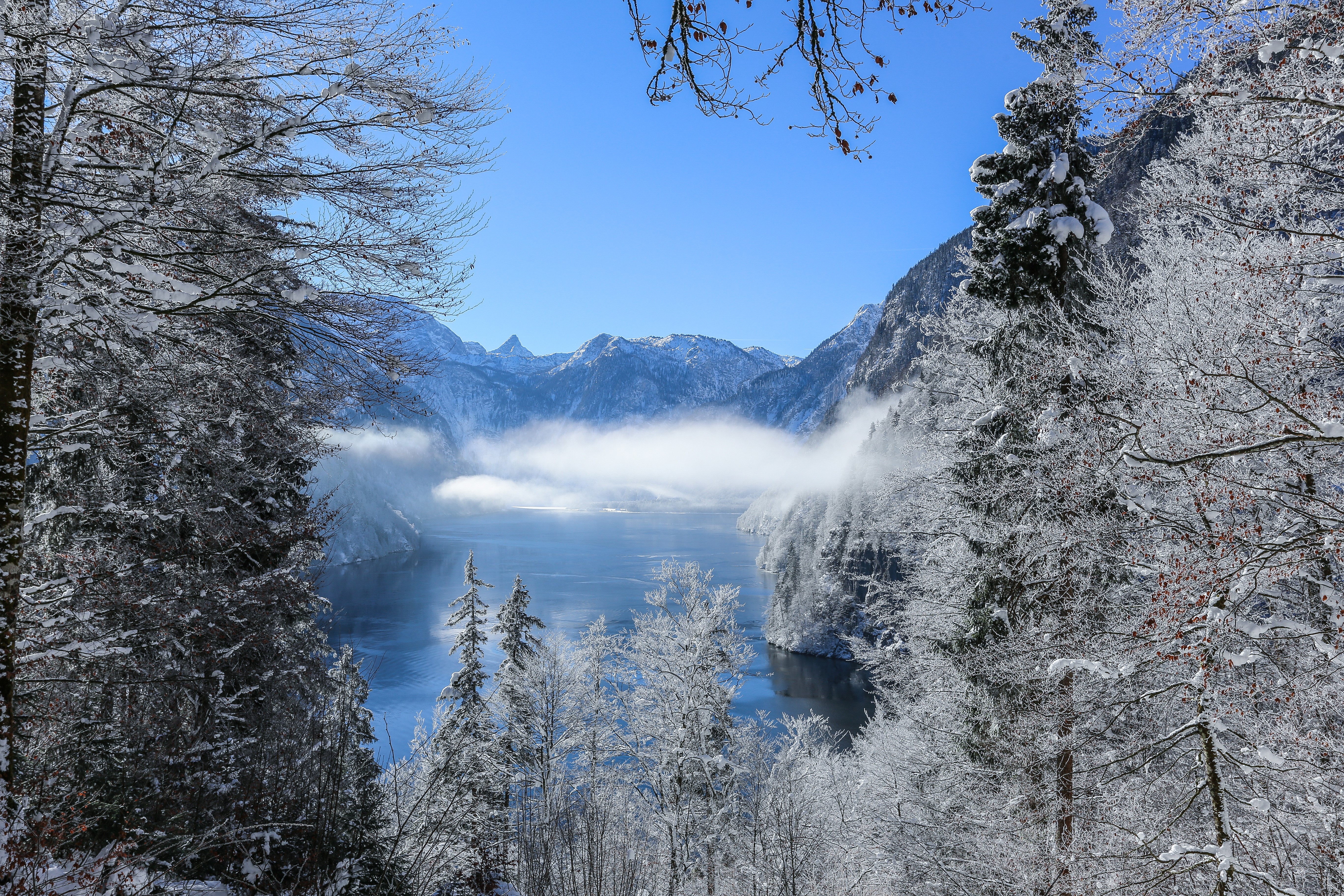 mountains, nature, winter, hd, 4k, 5k, trees, snow, HD Wallpaper
