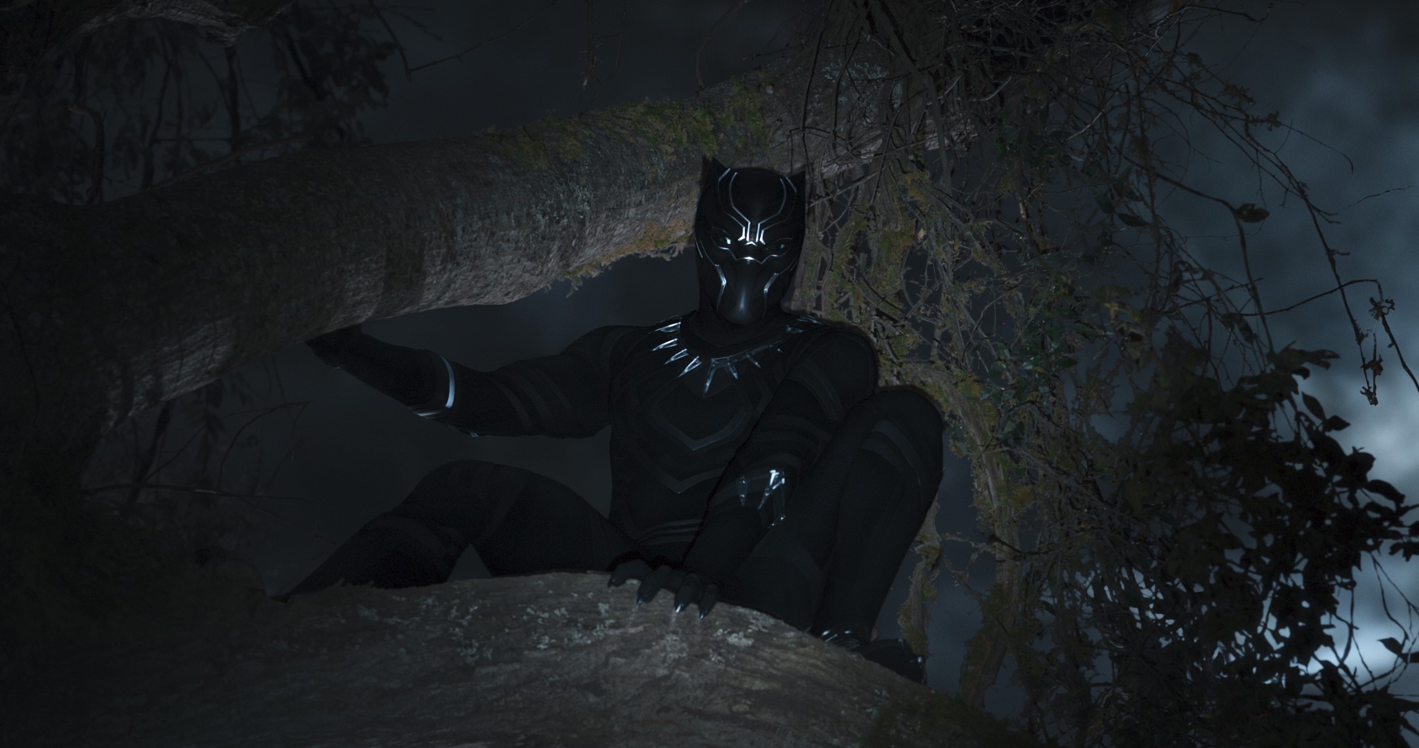 black panther, 2018 movies, hd, movies, HD Wallpaper