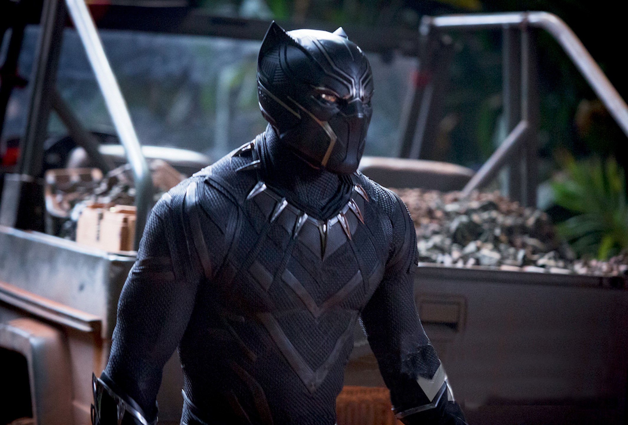 chadwick boseman, black panther, 2018 movies, hd, movies, HD Wallpaper