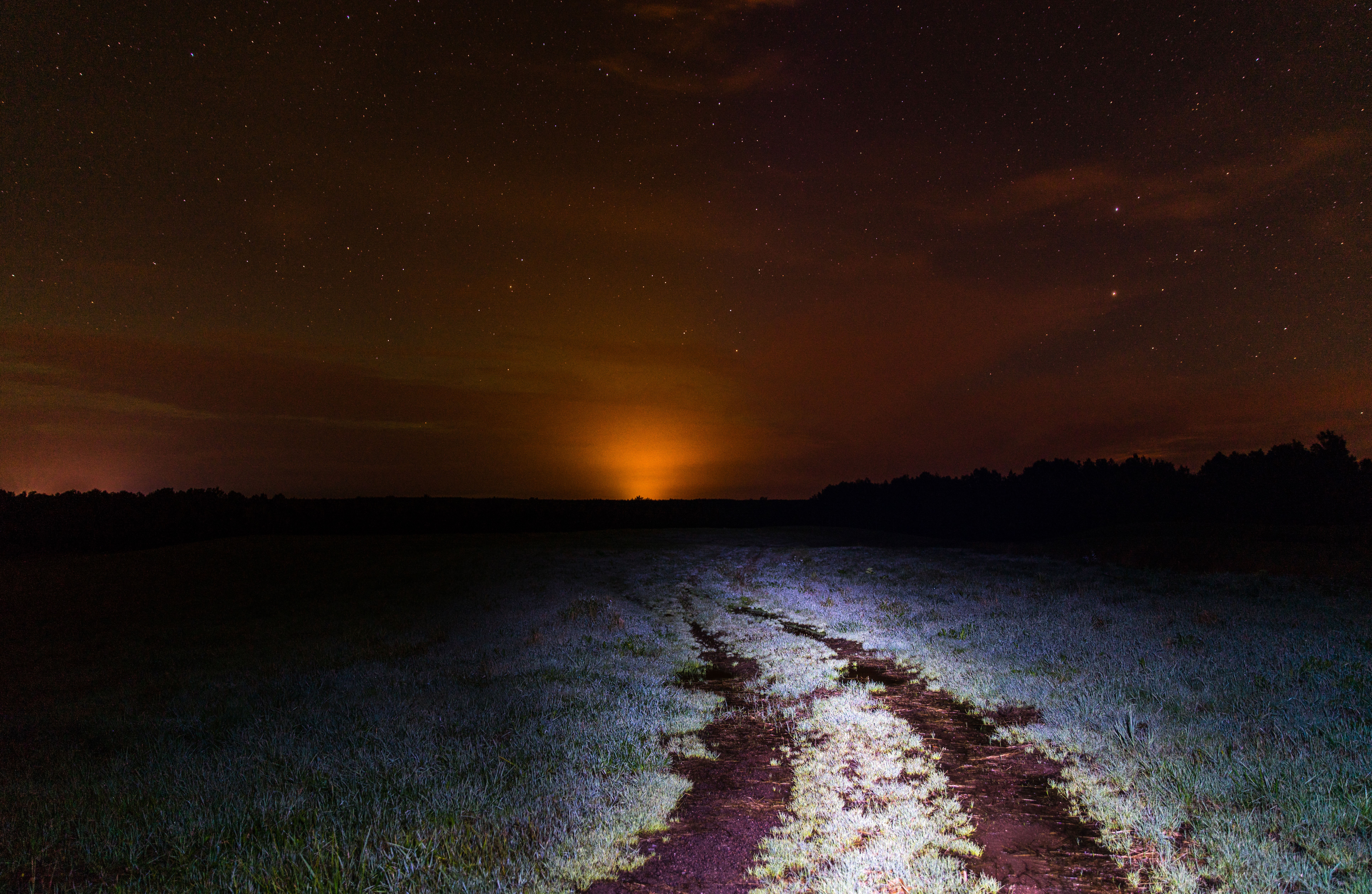 field, nature, night, hd, 4k, 5k, 8k, HD Wallpaper