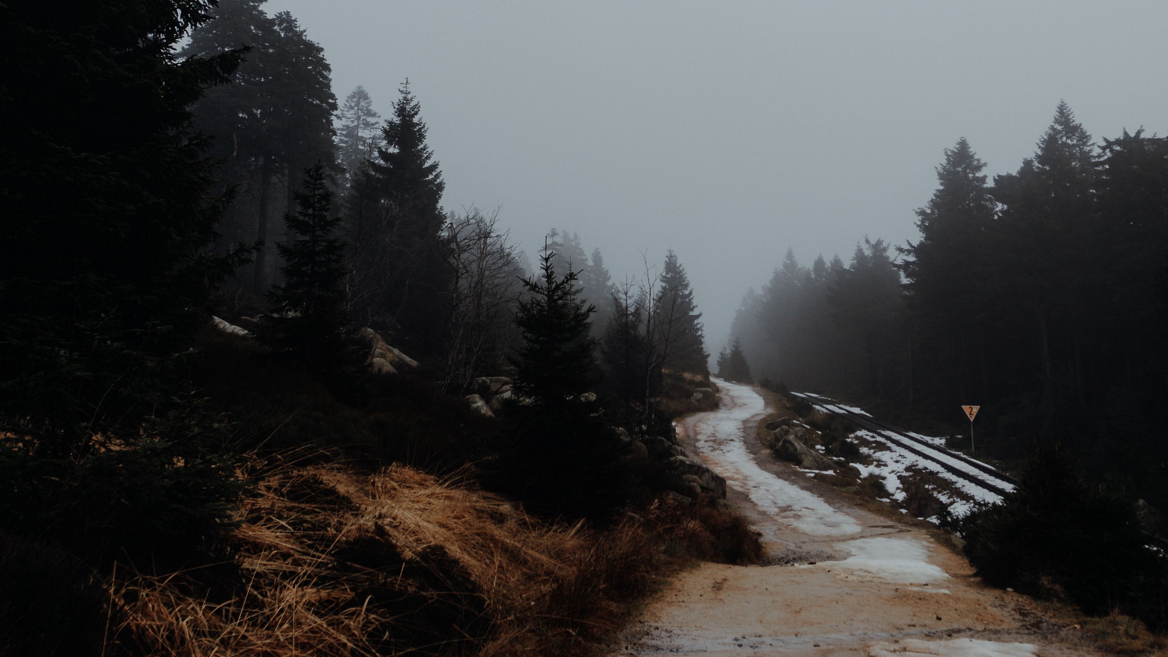 road, trees, fog, nature, 4k, HD Wallpaper
