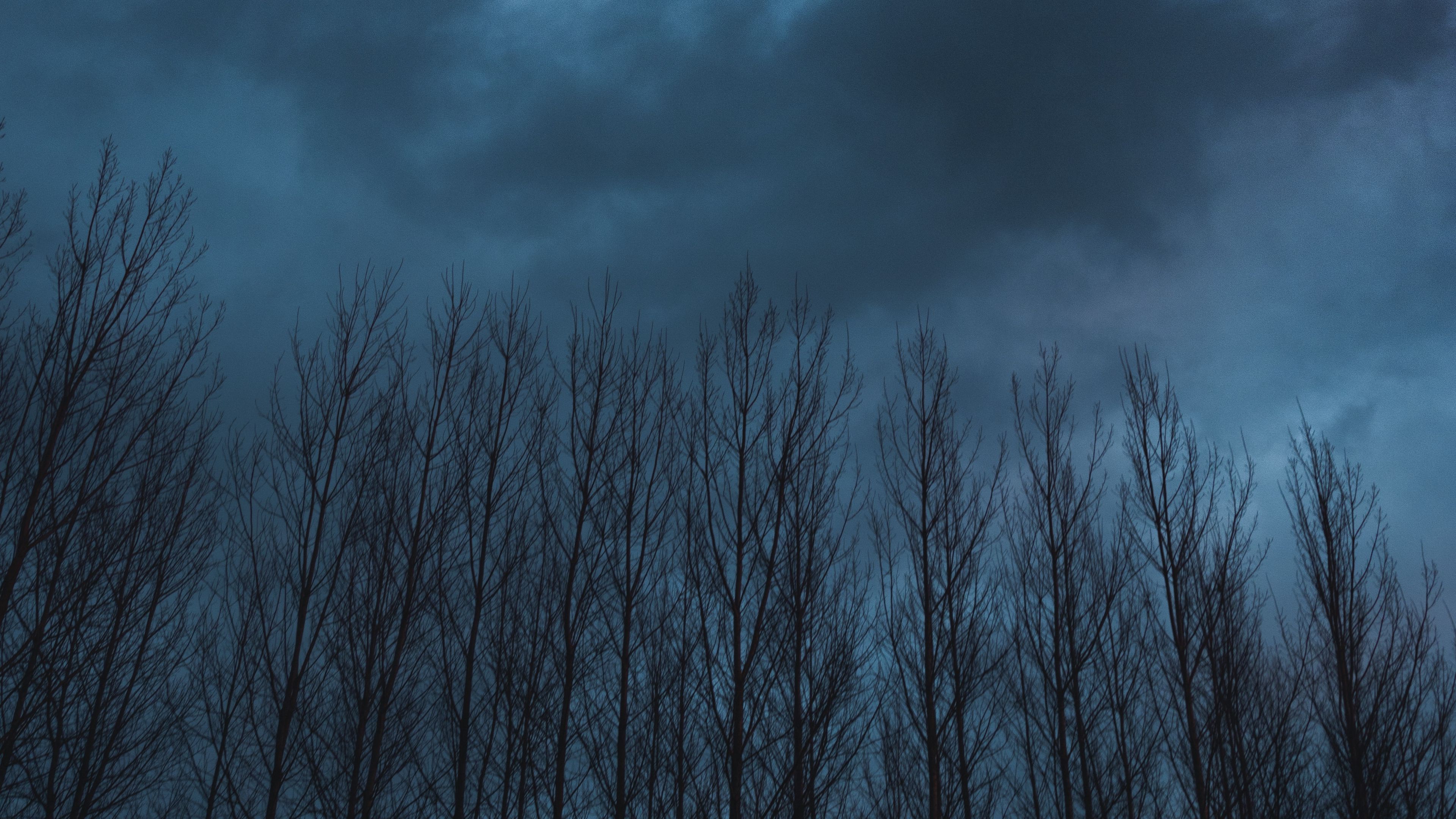 trees, sky, clouds, dark, nature, 4k, HD Wallpaper