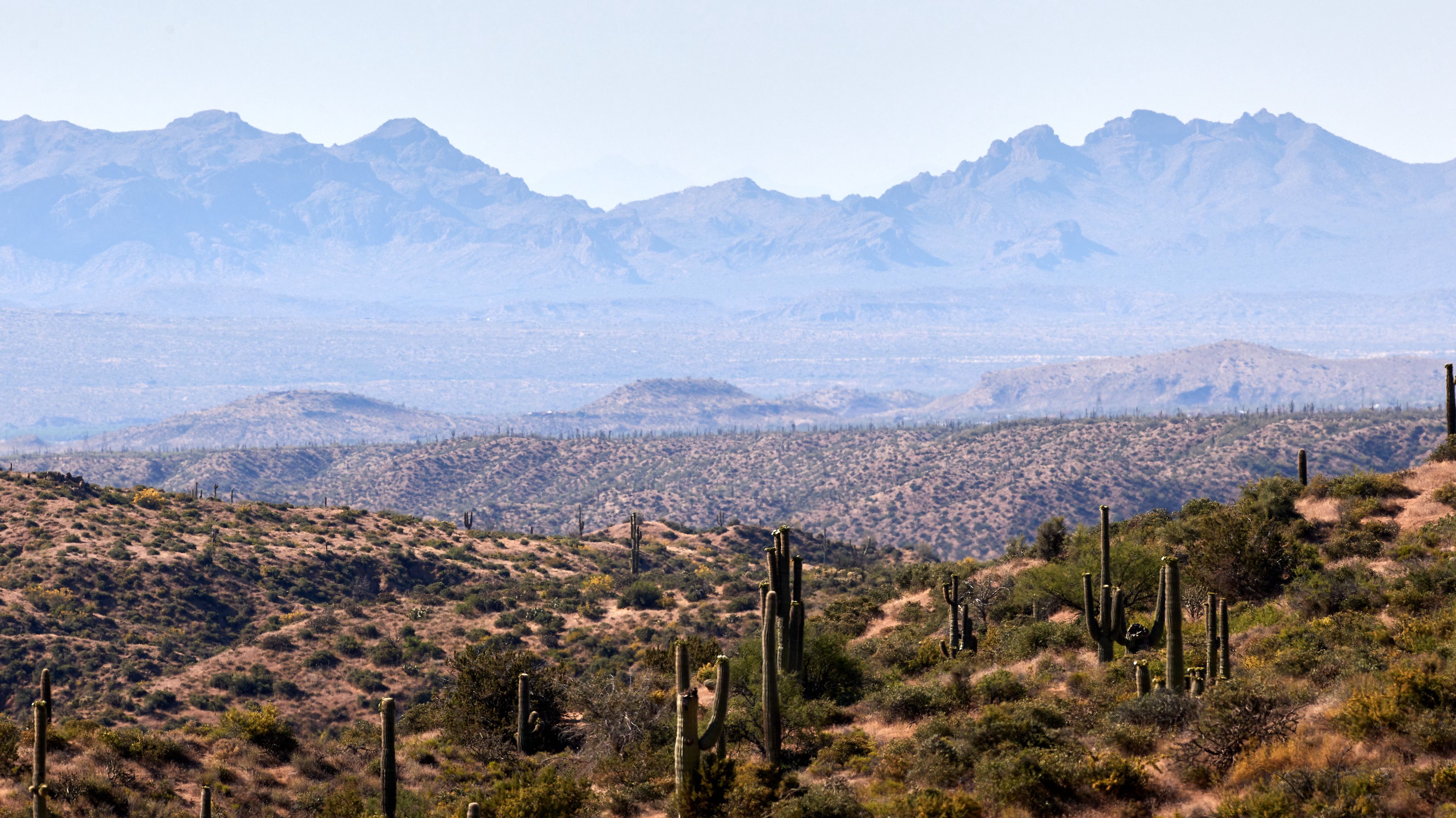 prairies, cacti, mountains, distance, 4k, HD Wallpaper