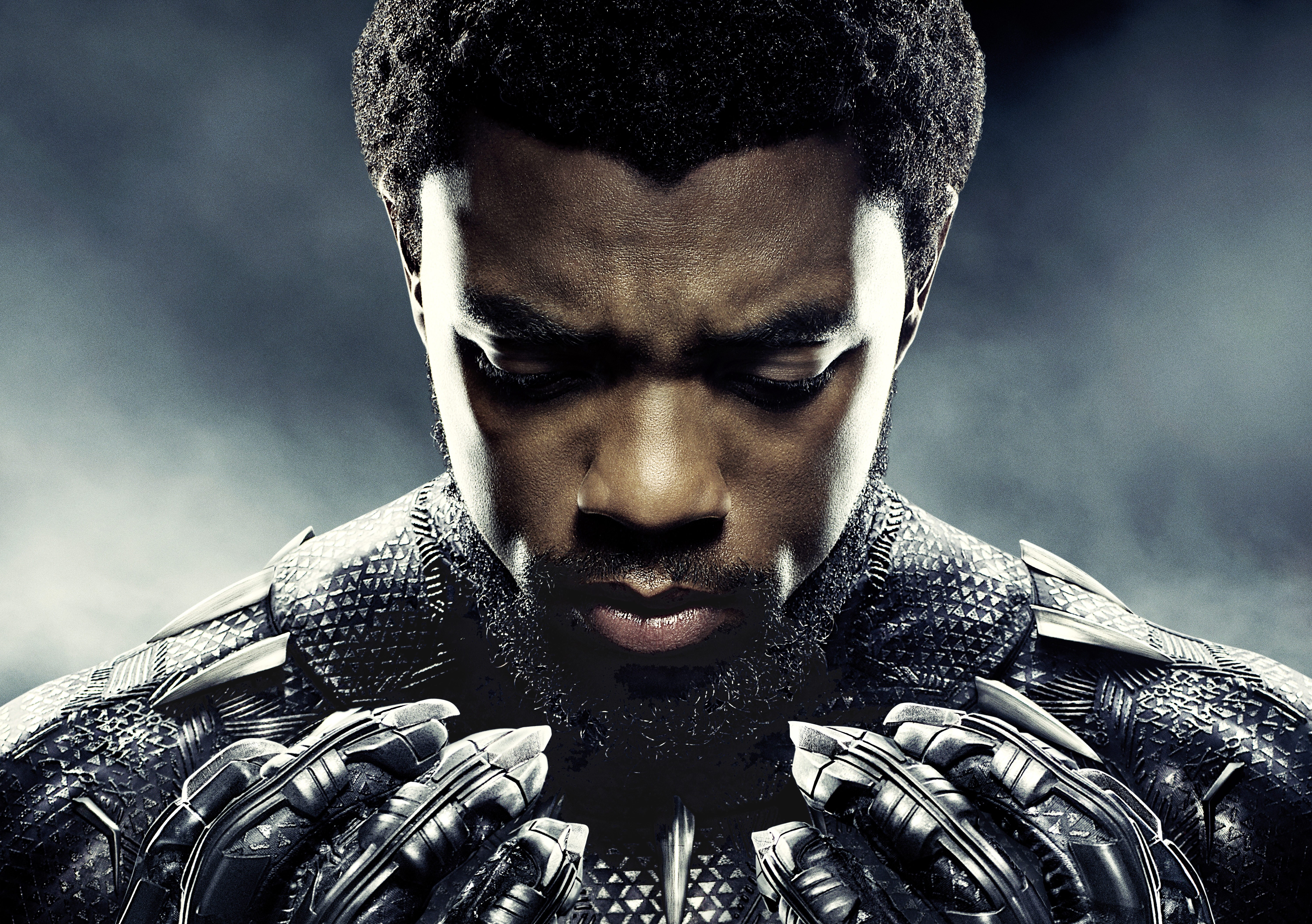 chadwick boseman, black panther, 2018 movies, hd, 4k, movies, HD Wallpaper