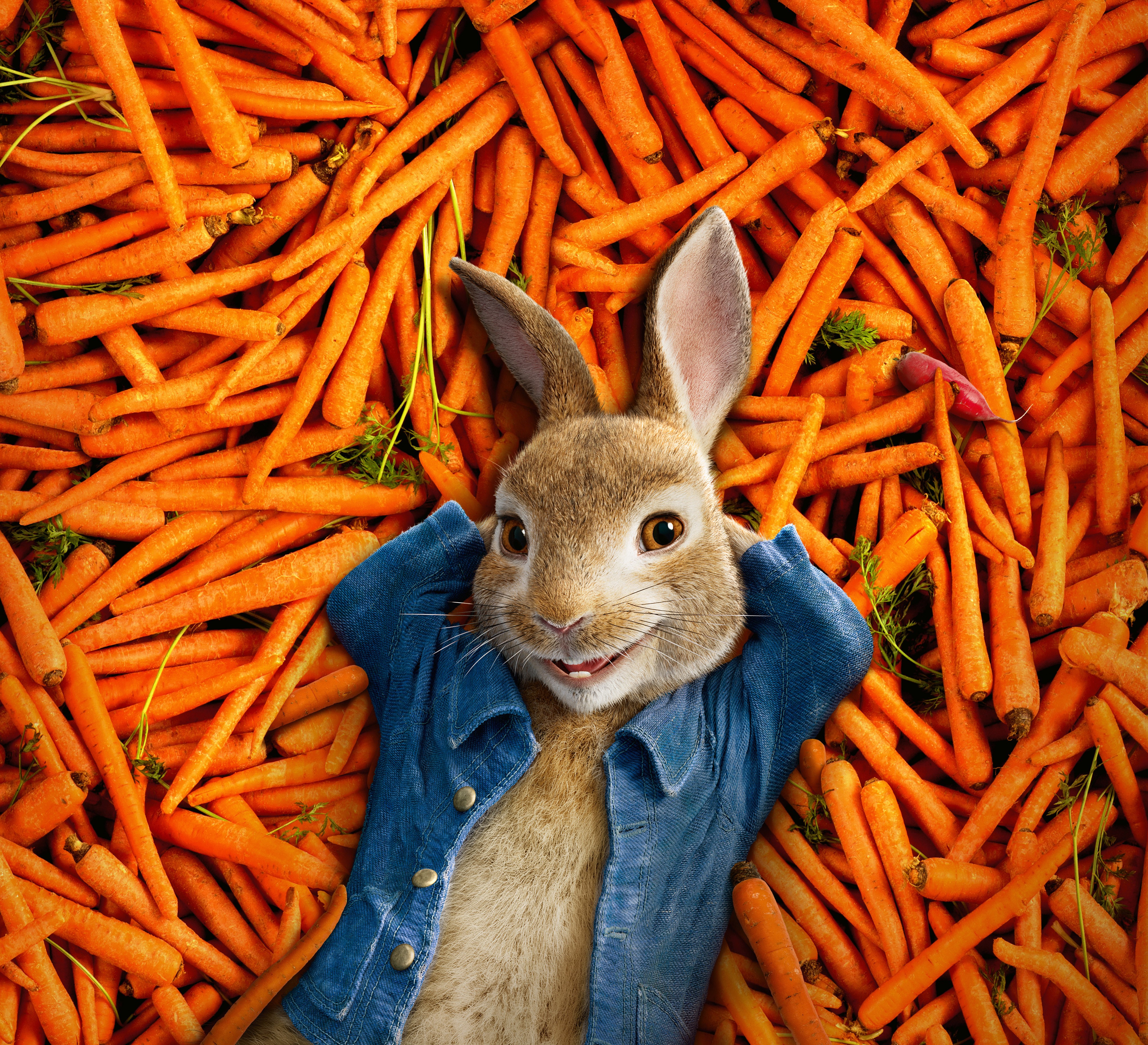 peter rabbit, 2018 movies, animated movies, movies, hd, 4k, rabbit, HD Wallpaper