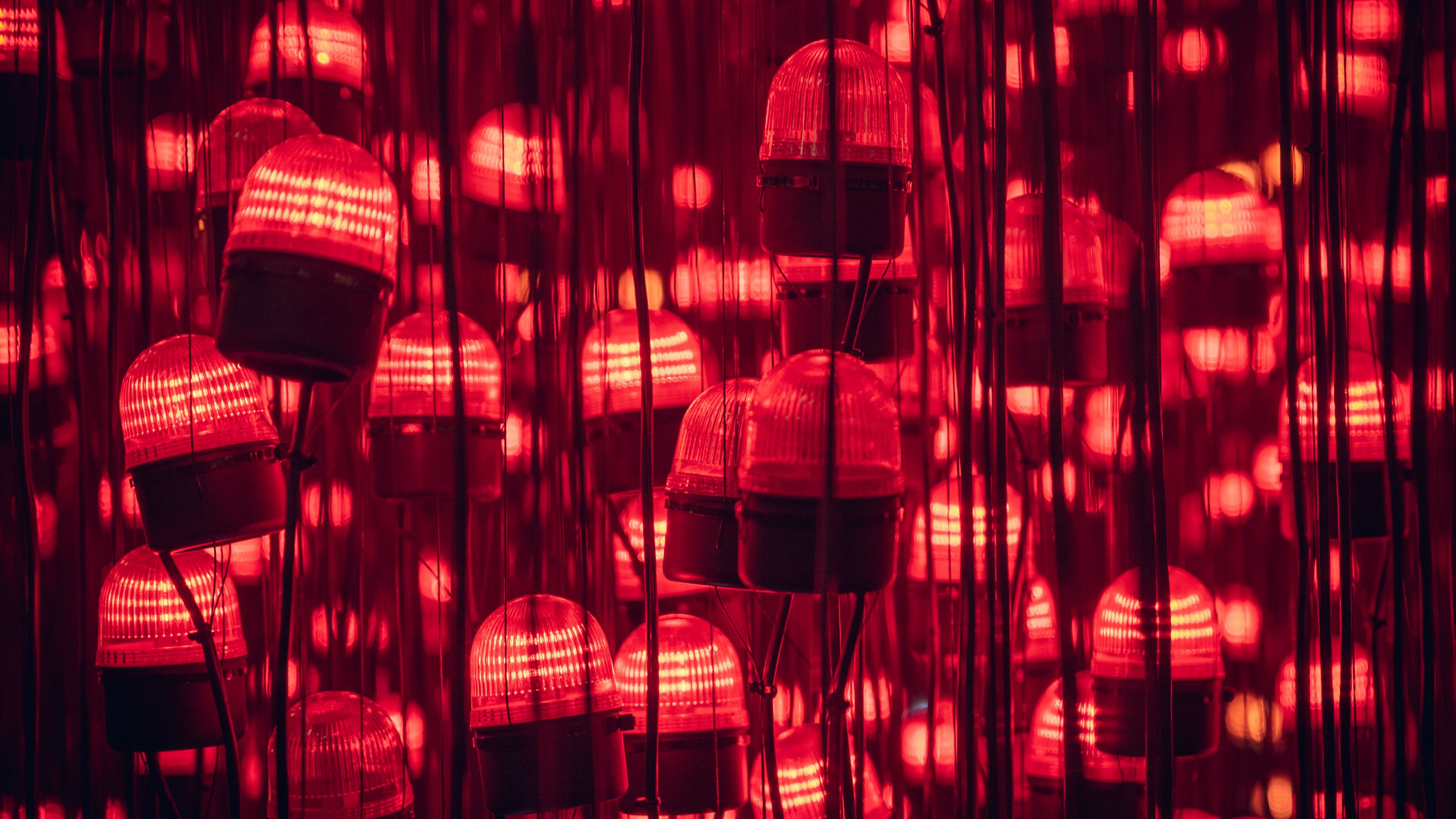garland, bulbs, light, red, 4k, HD Wallpaper