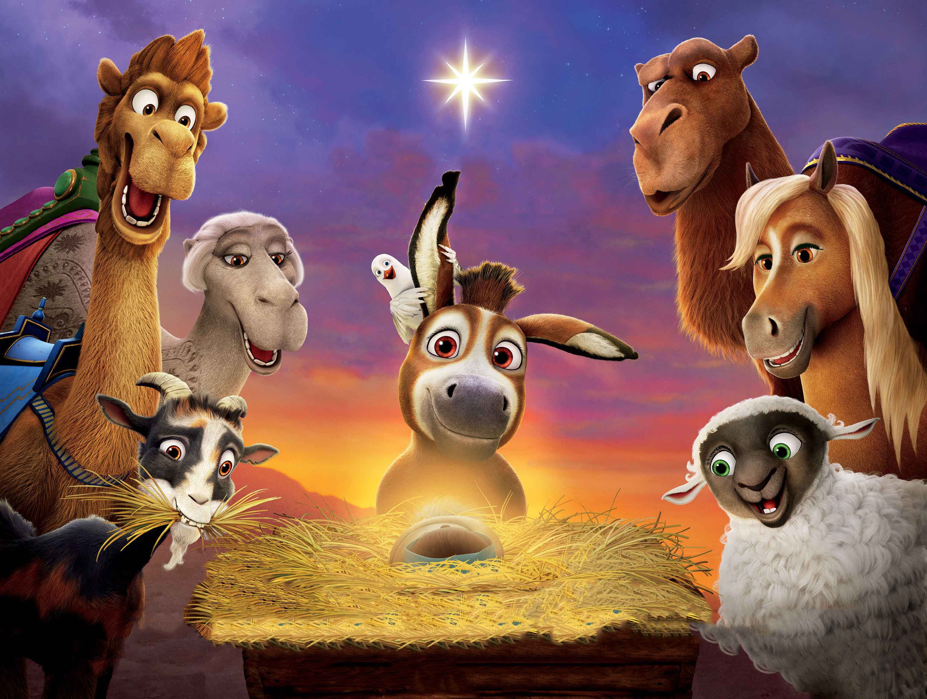 the star, 2017 movies, movies, hd, 4k, HD Wallpaper