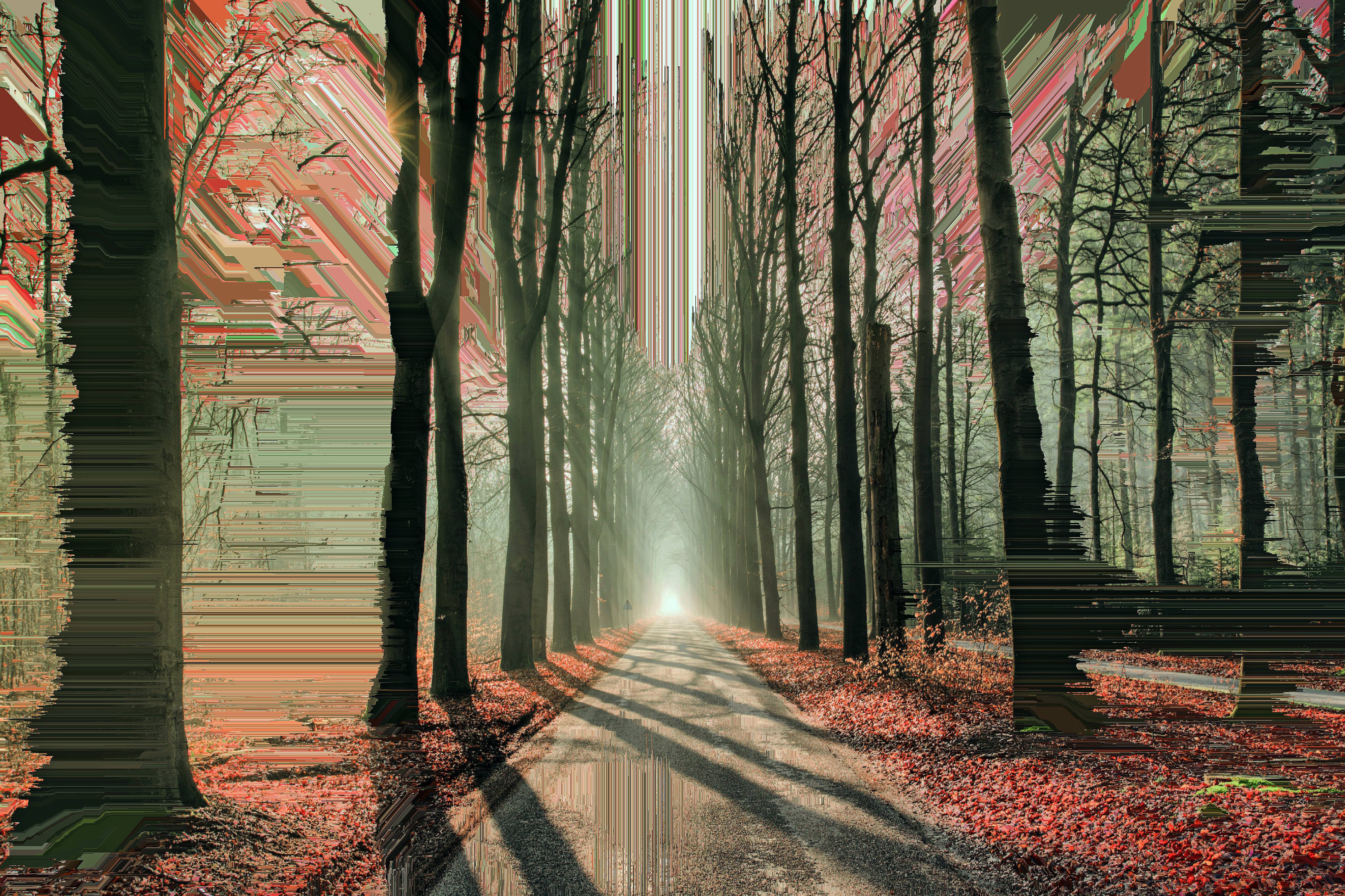 artistic, forest, road, hd, 4k, 5k, trees, glitch, HD Wallpaper
