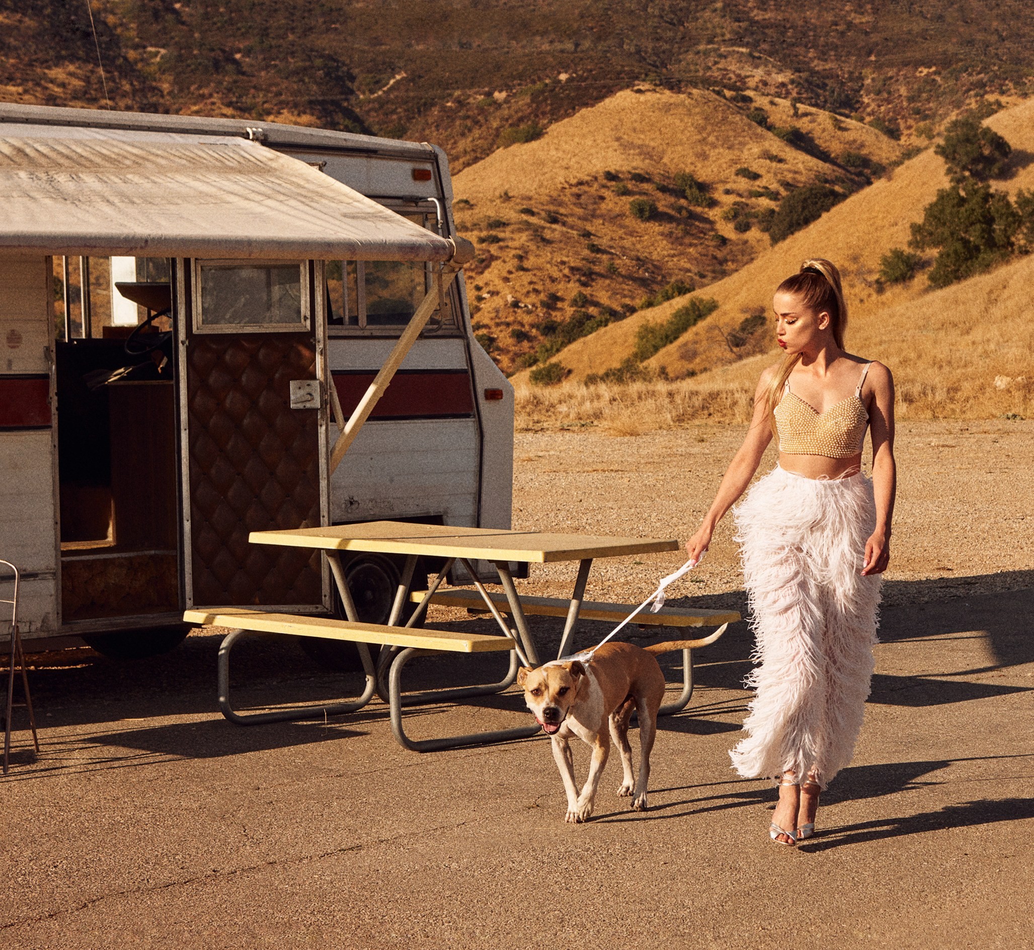 amber heard, celebrities, girls, hd, dog, HD Wallpaper