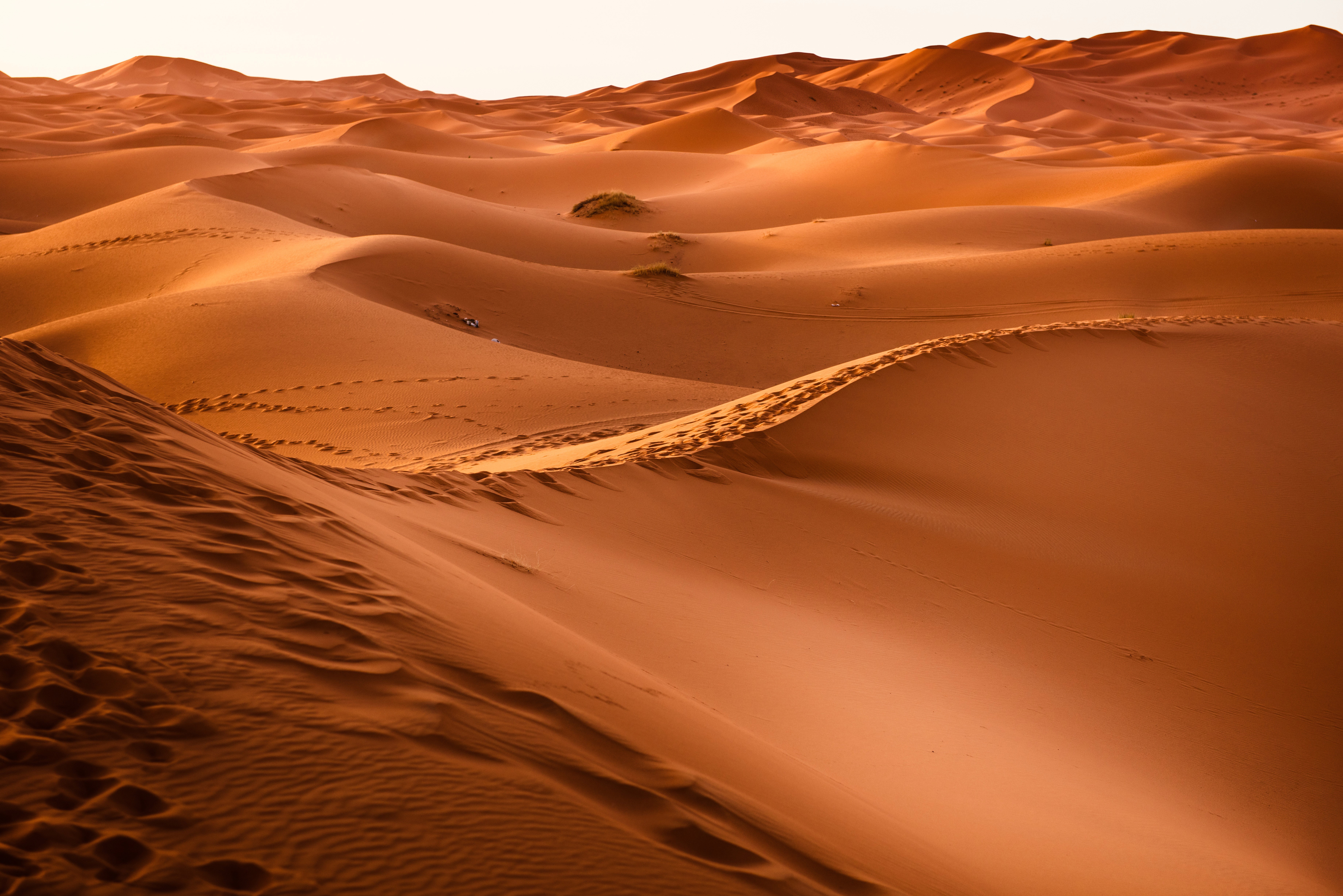 desert, nature, earth, sand, dunes, hd, 4k, 5k, 8k, HD Wallpaper