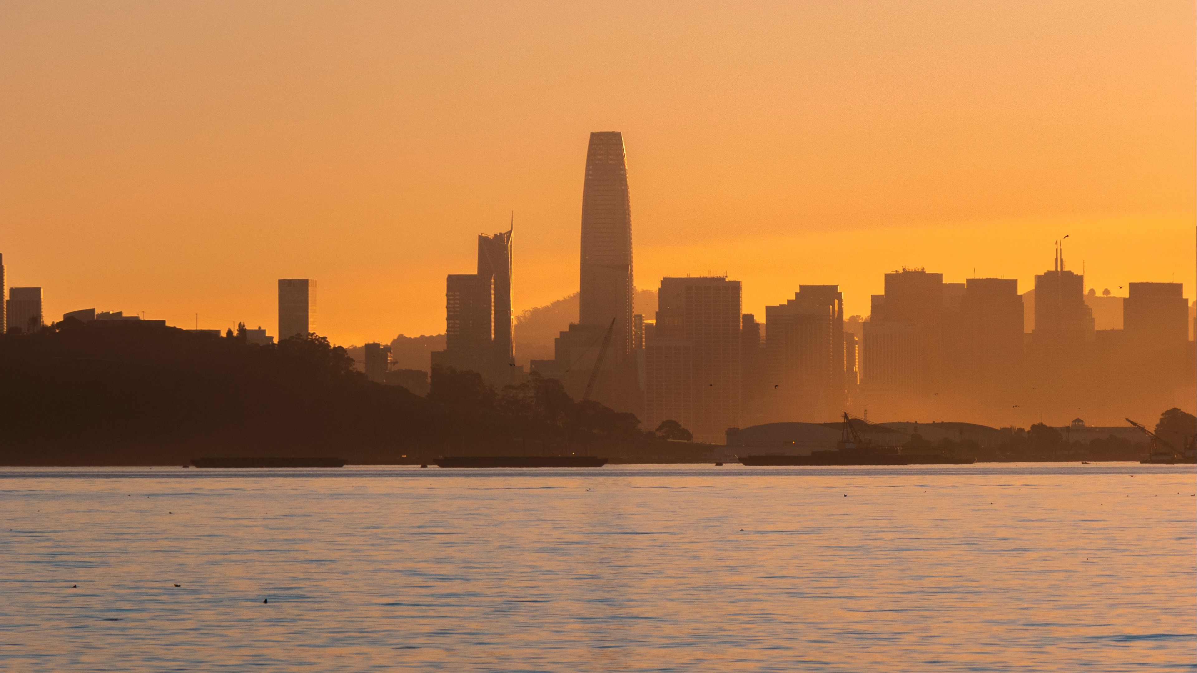 city, buildings, coast, fog, sunset, 4k, HD Wallpaper