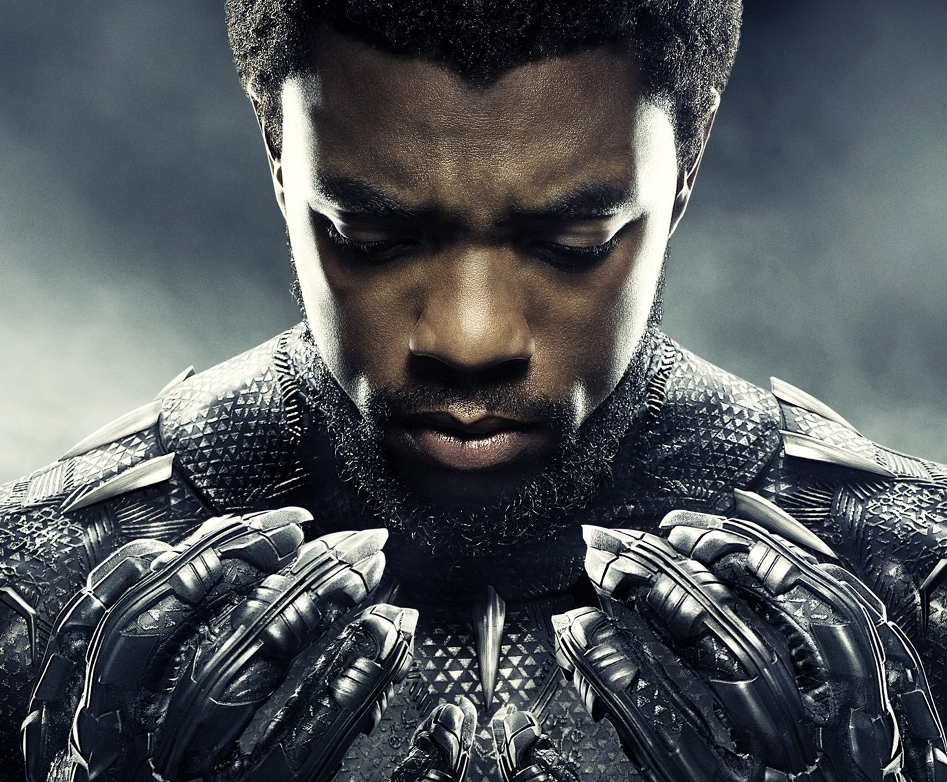 black panther, 2018 movies, movies, hd, HD Wallpaper